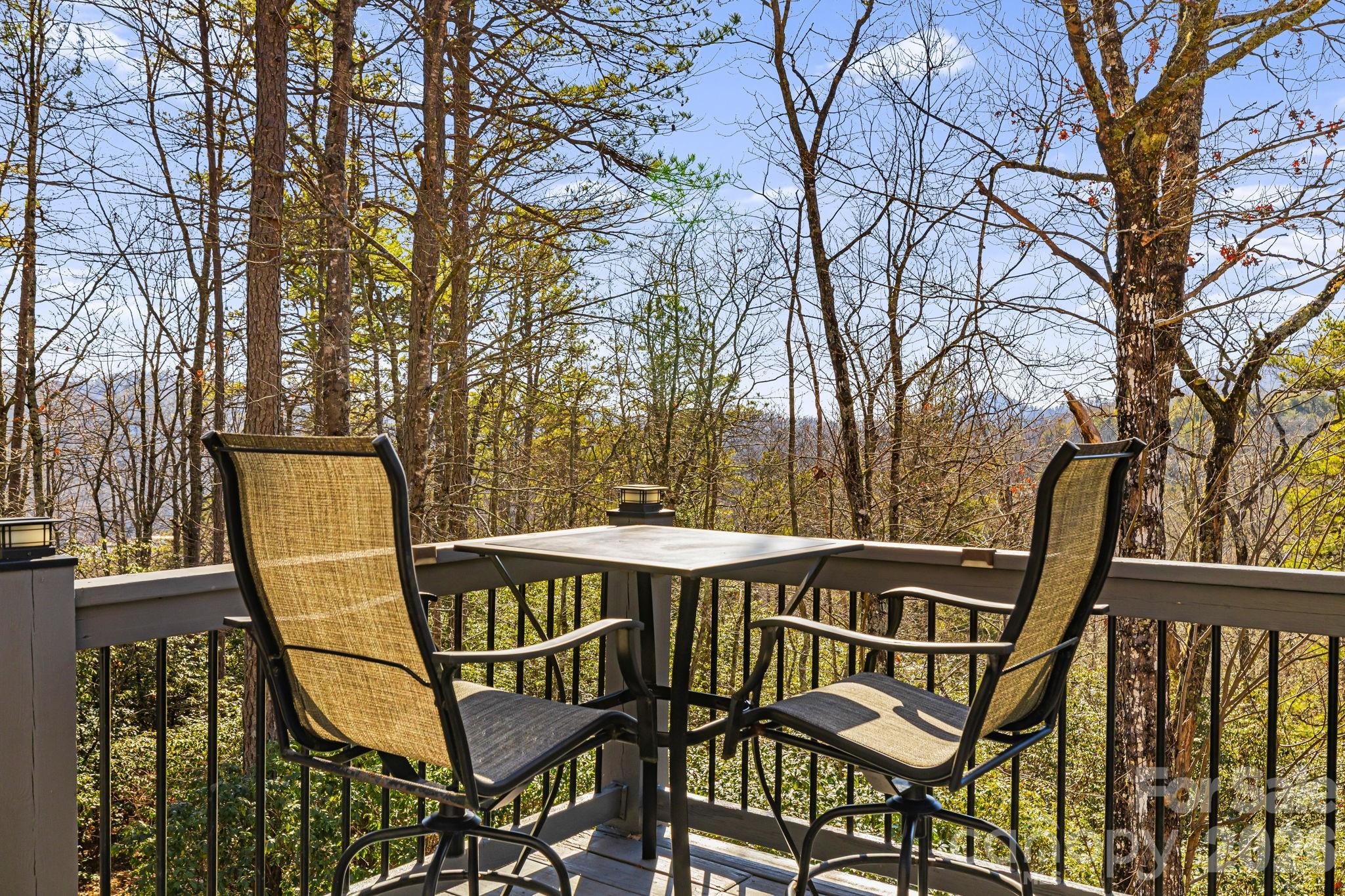 299 Lookout Drive Property Photo 38