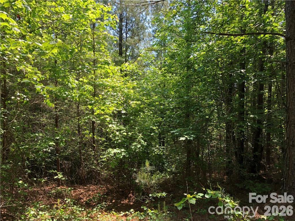 Lt 5 Geebees Way Property Photo 7