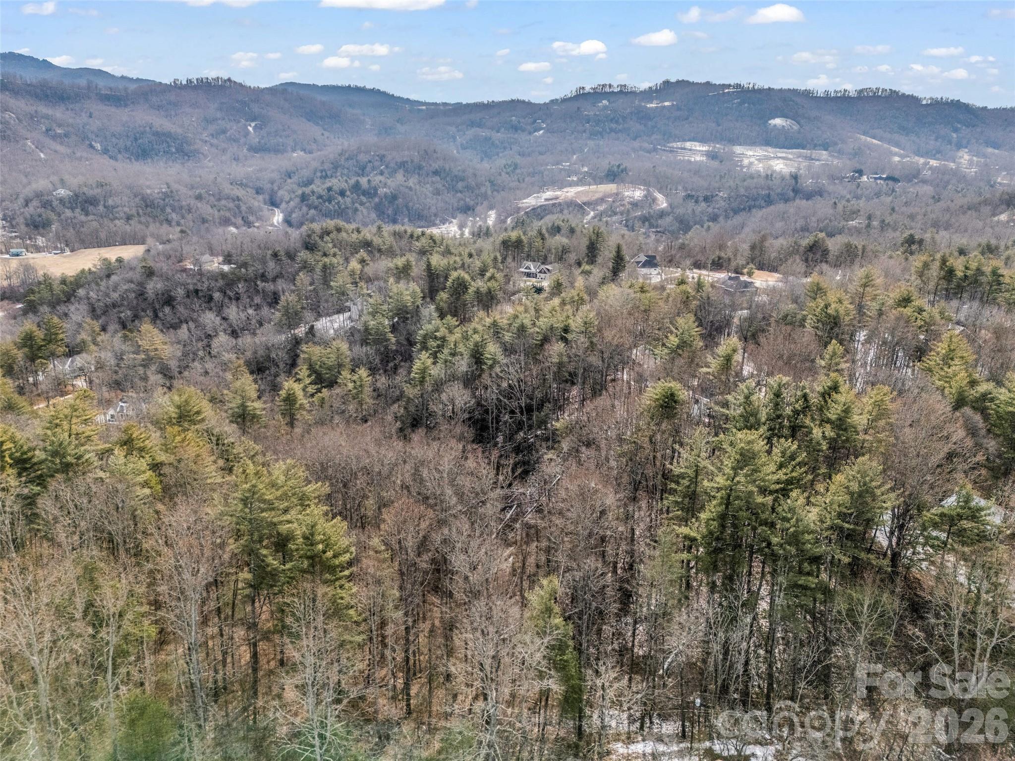 88 Summer Shade Court Property Photo 6