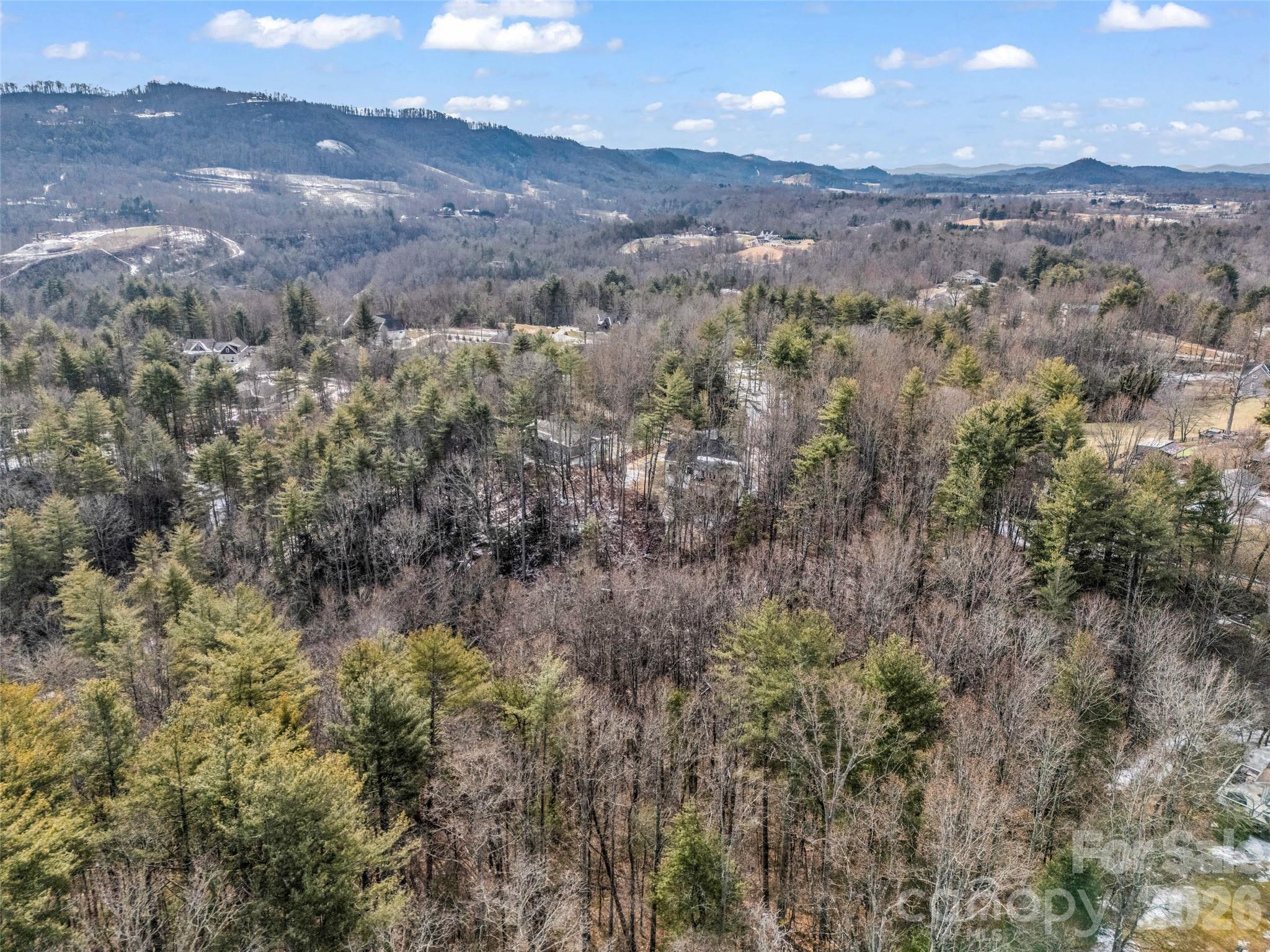 88 Summer Shade Court Property Photo 7