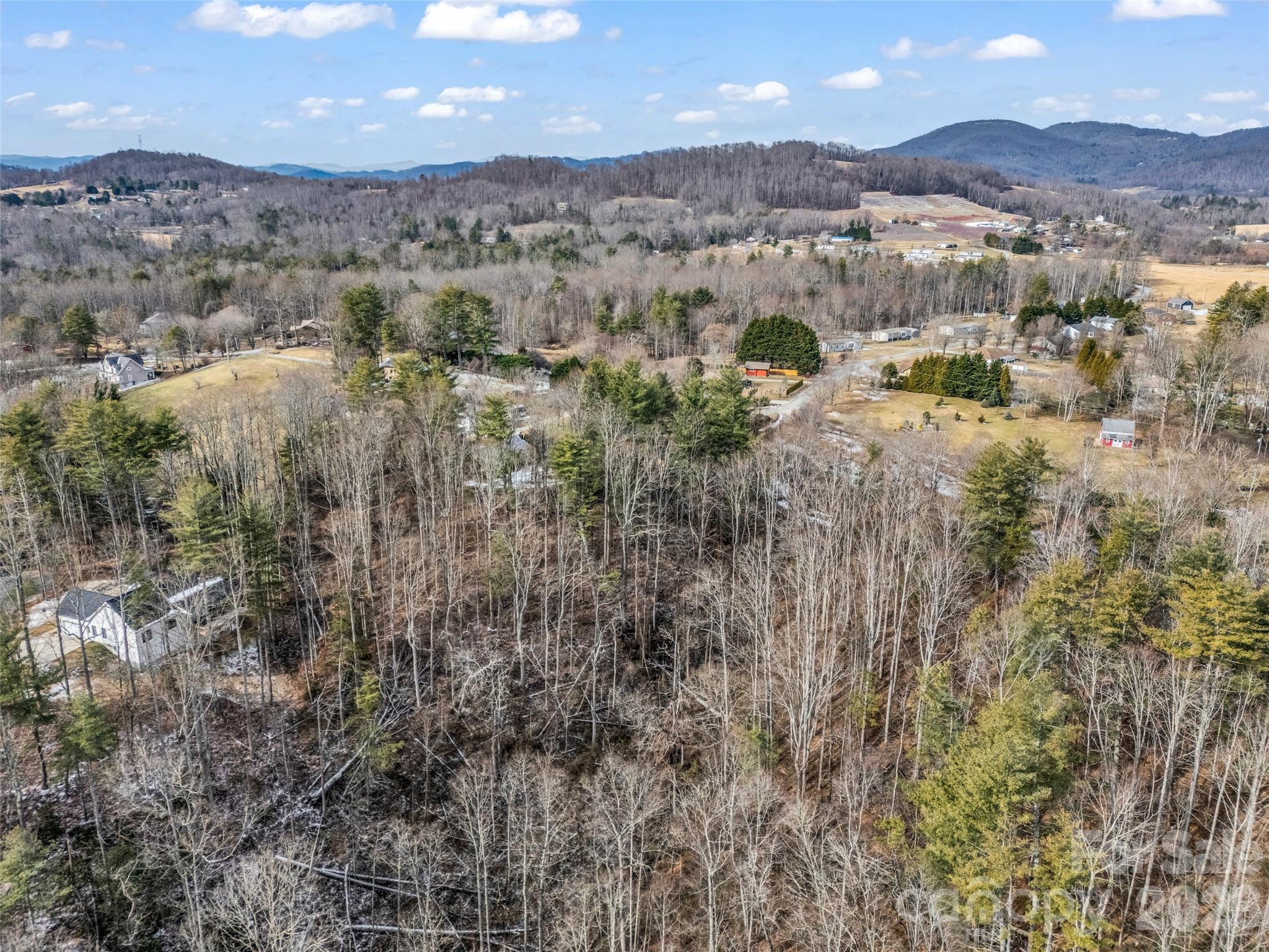 88 Summer Shade Court Property Photo 9