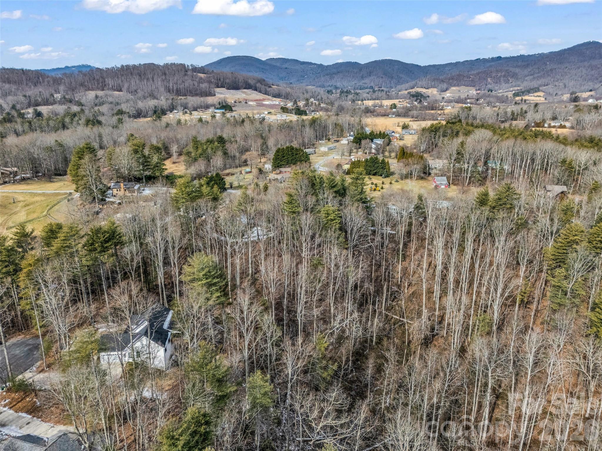 88 Summer Shade Court Property Photo 10
