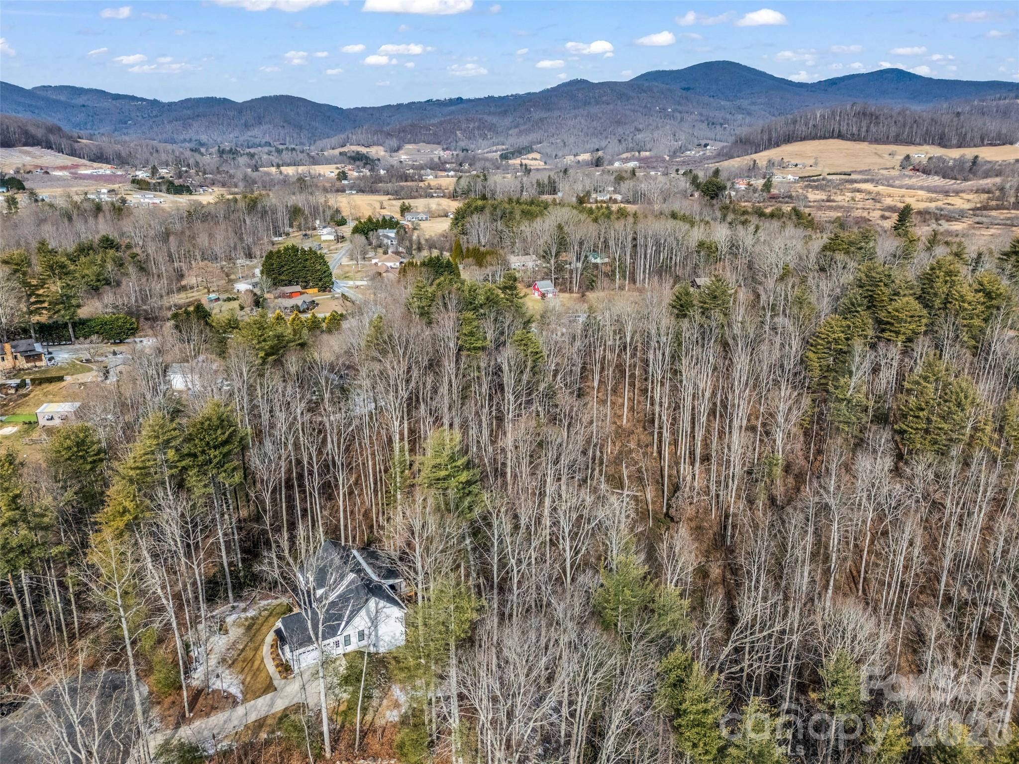 88 Summer Shade Court Property Photo 11