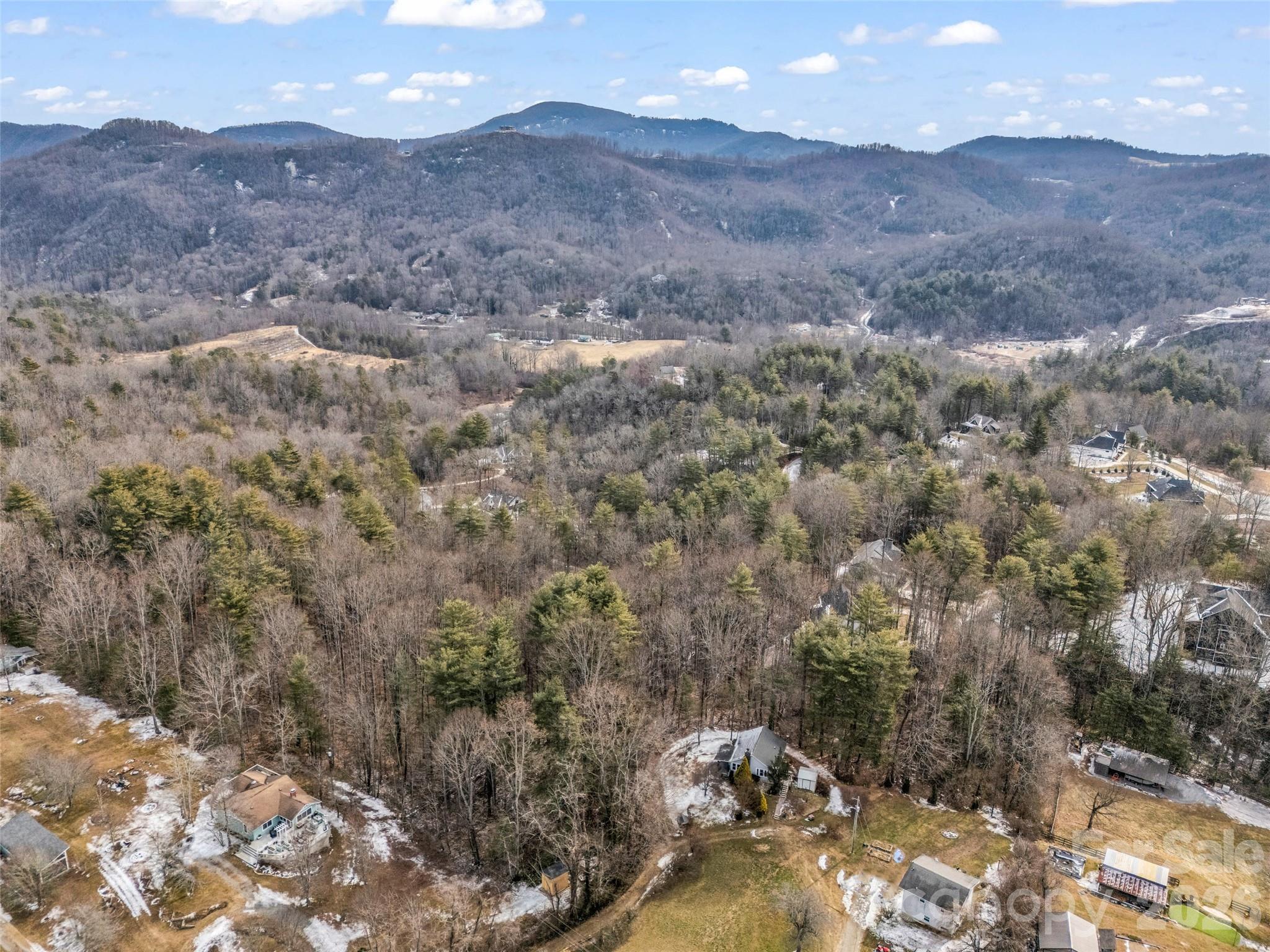 88 Summer Shade Court Property Photo 18