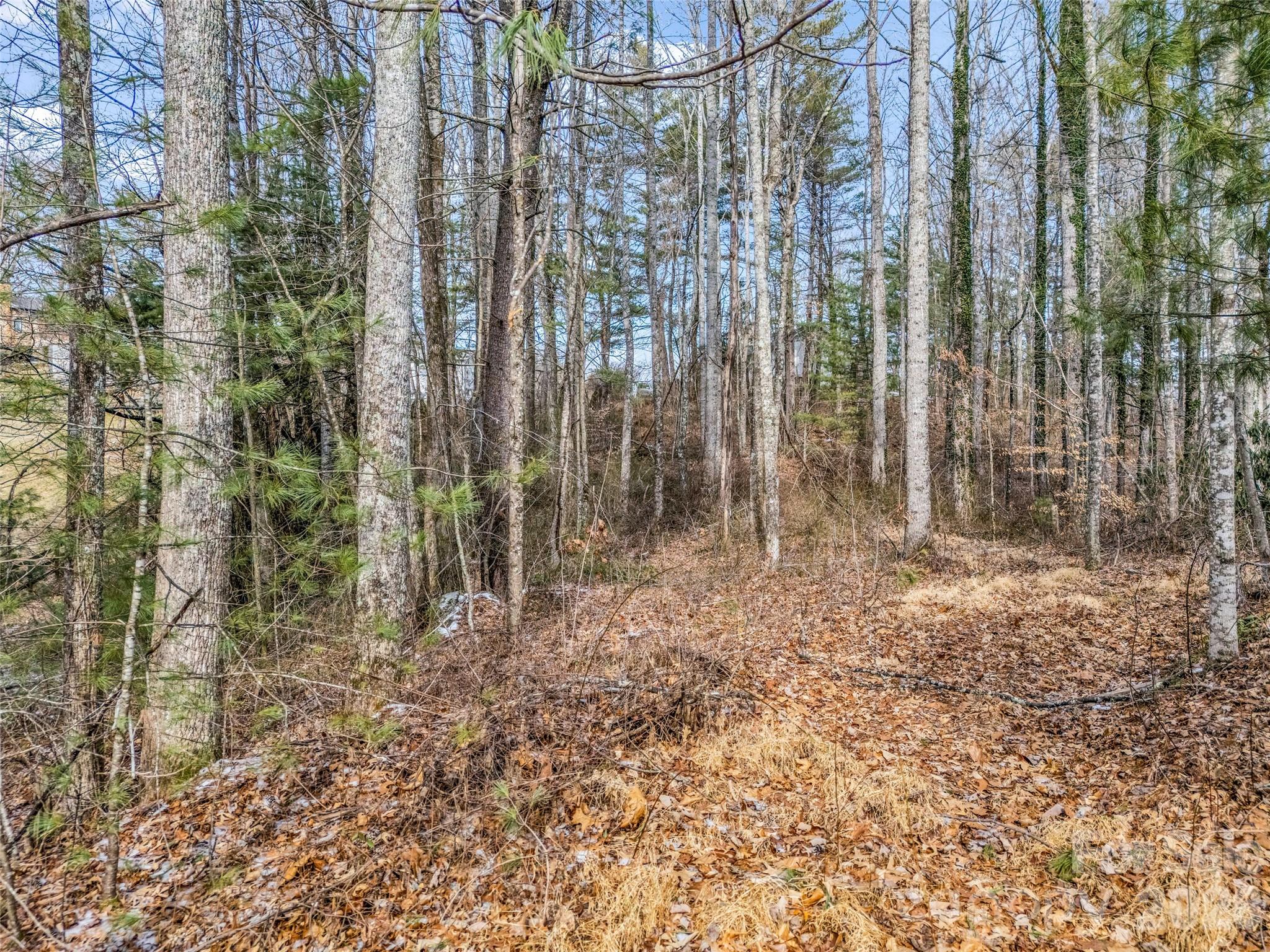 88 Summer Shade Court Property Photo 28