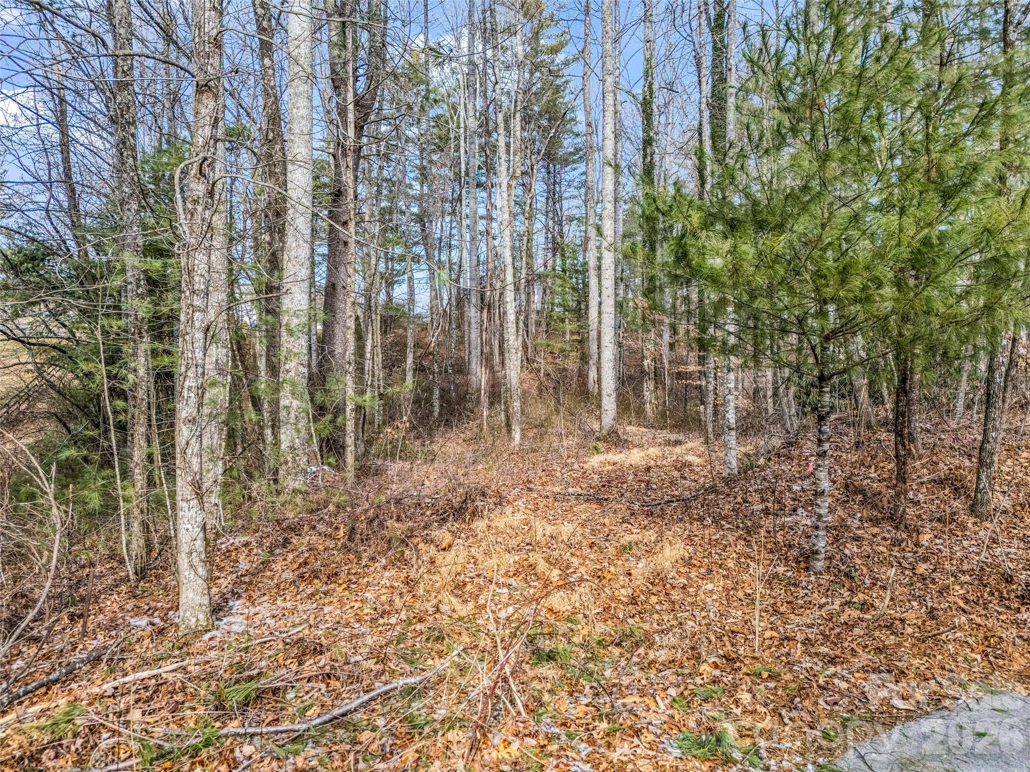 88 Summer Shade Court Property Photo 29
