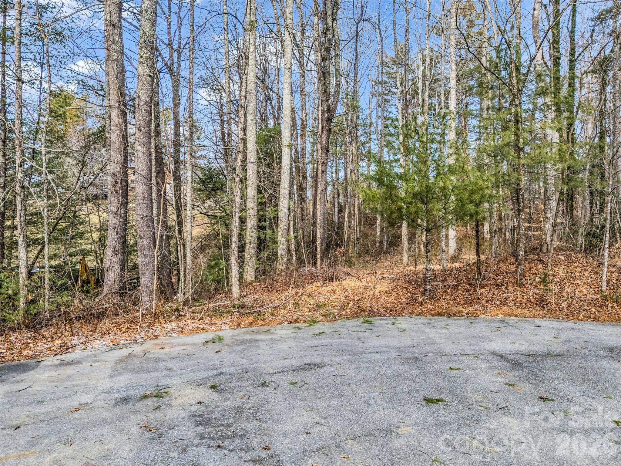 88 Summer Shade Court Property Photo 30