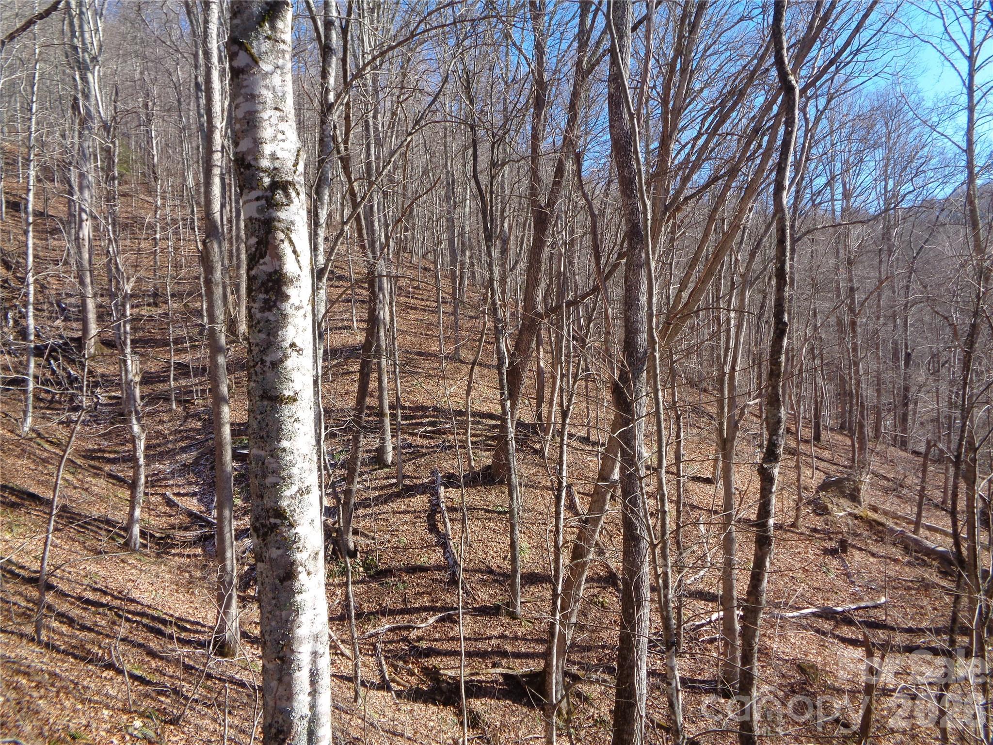 000 Listening Cove 42 Property Photo 3
