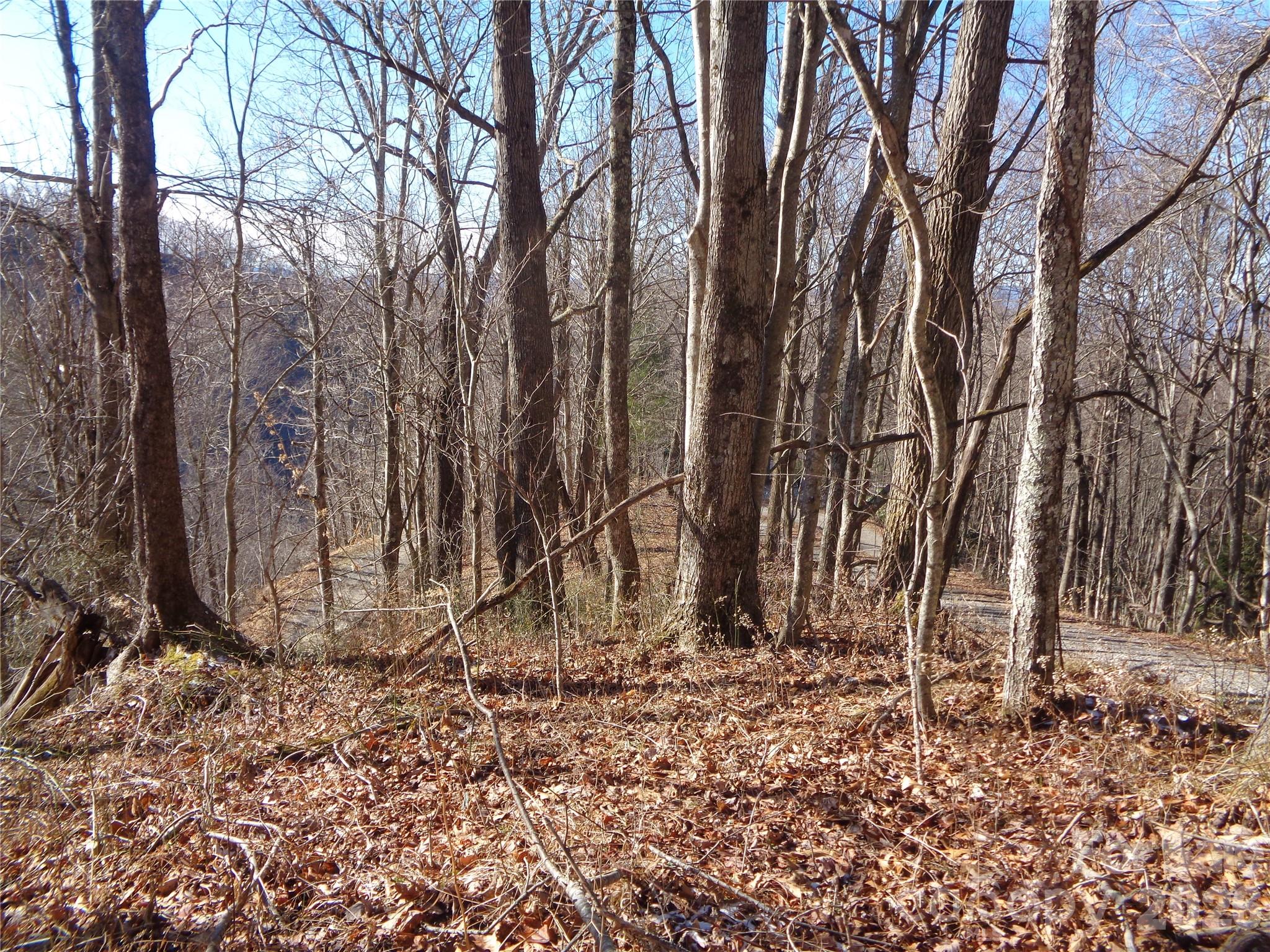 000 Listening Cove 42 Property Photo 4
