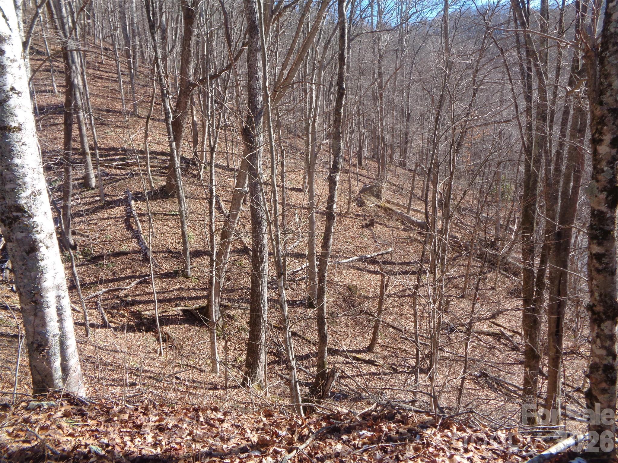 000 Listening Cove 42 Property Photo 5