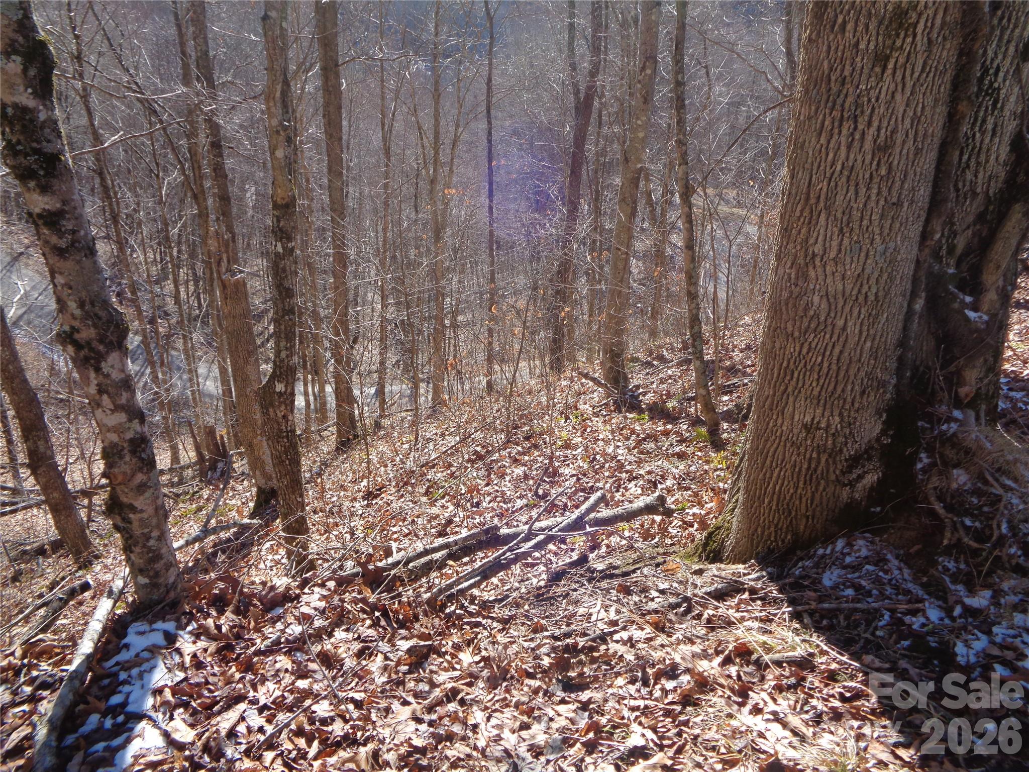 000 Listening Cove 42 Property Photo 7