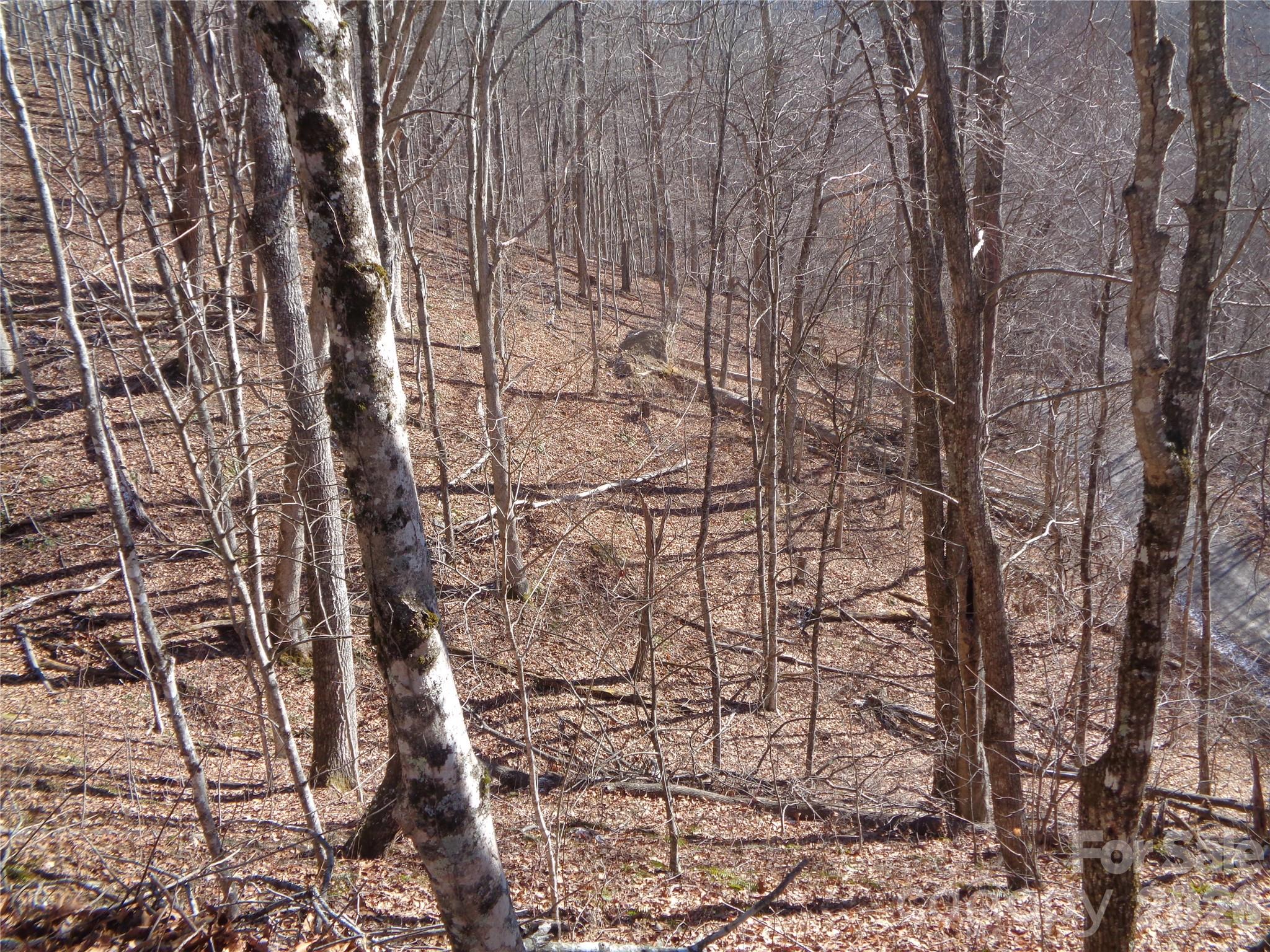 000 Listening Cove 42 Property Photo 8