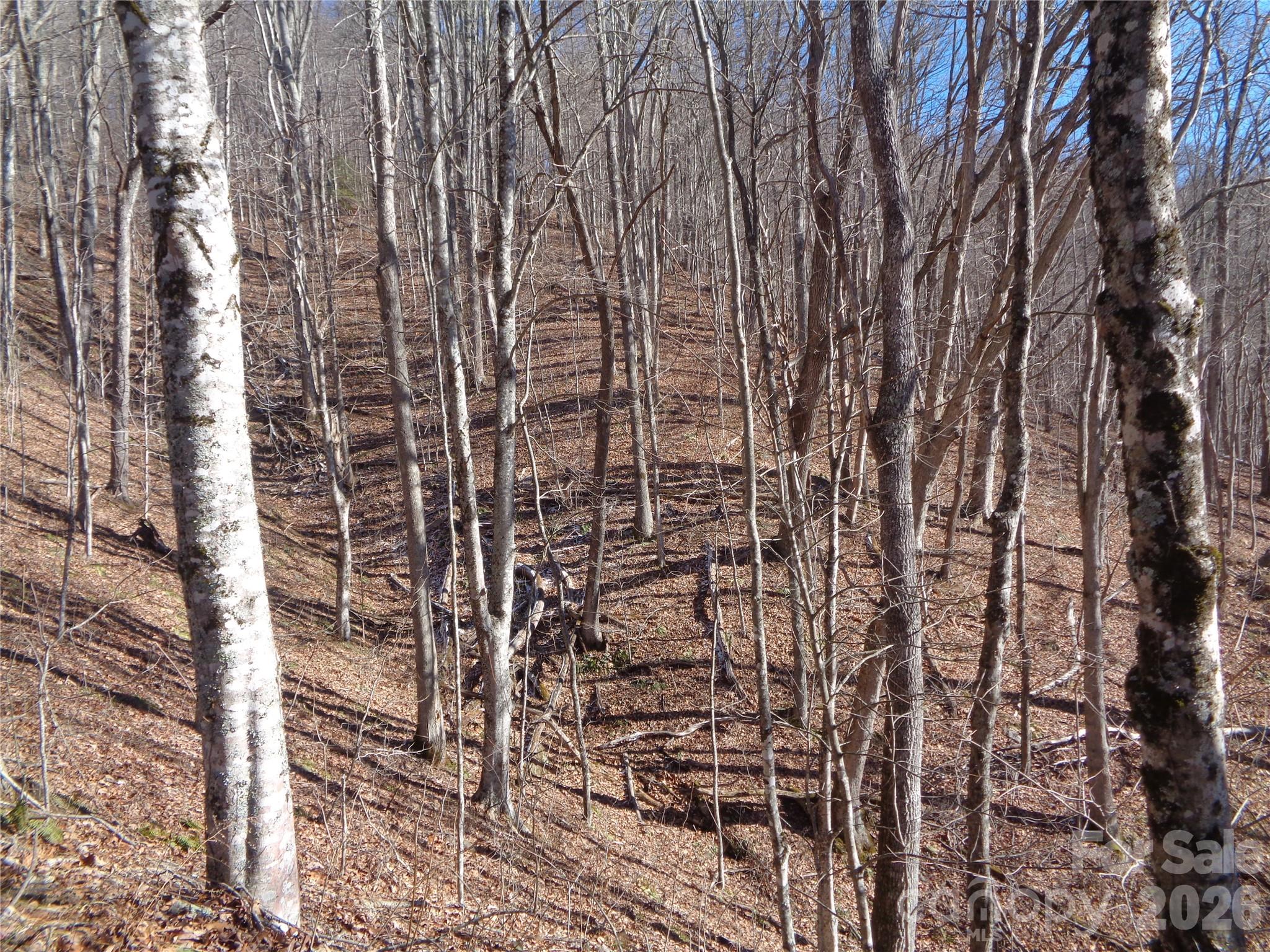 000 Listening Cove 42 Property Photo 9
