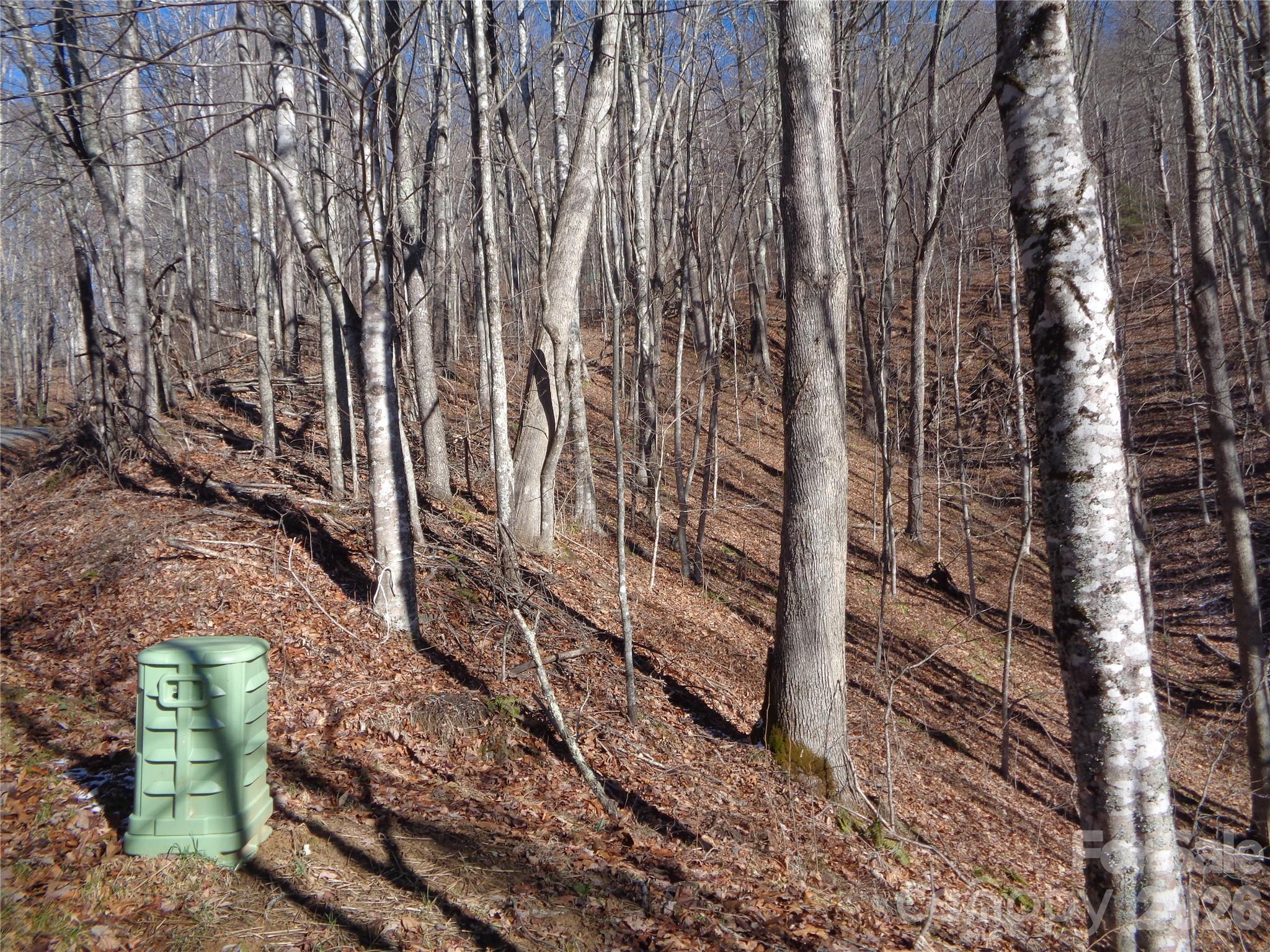 000 Listening Cove 42 Property Photo 10
