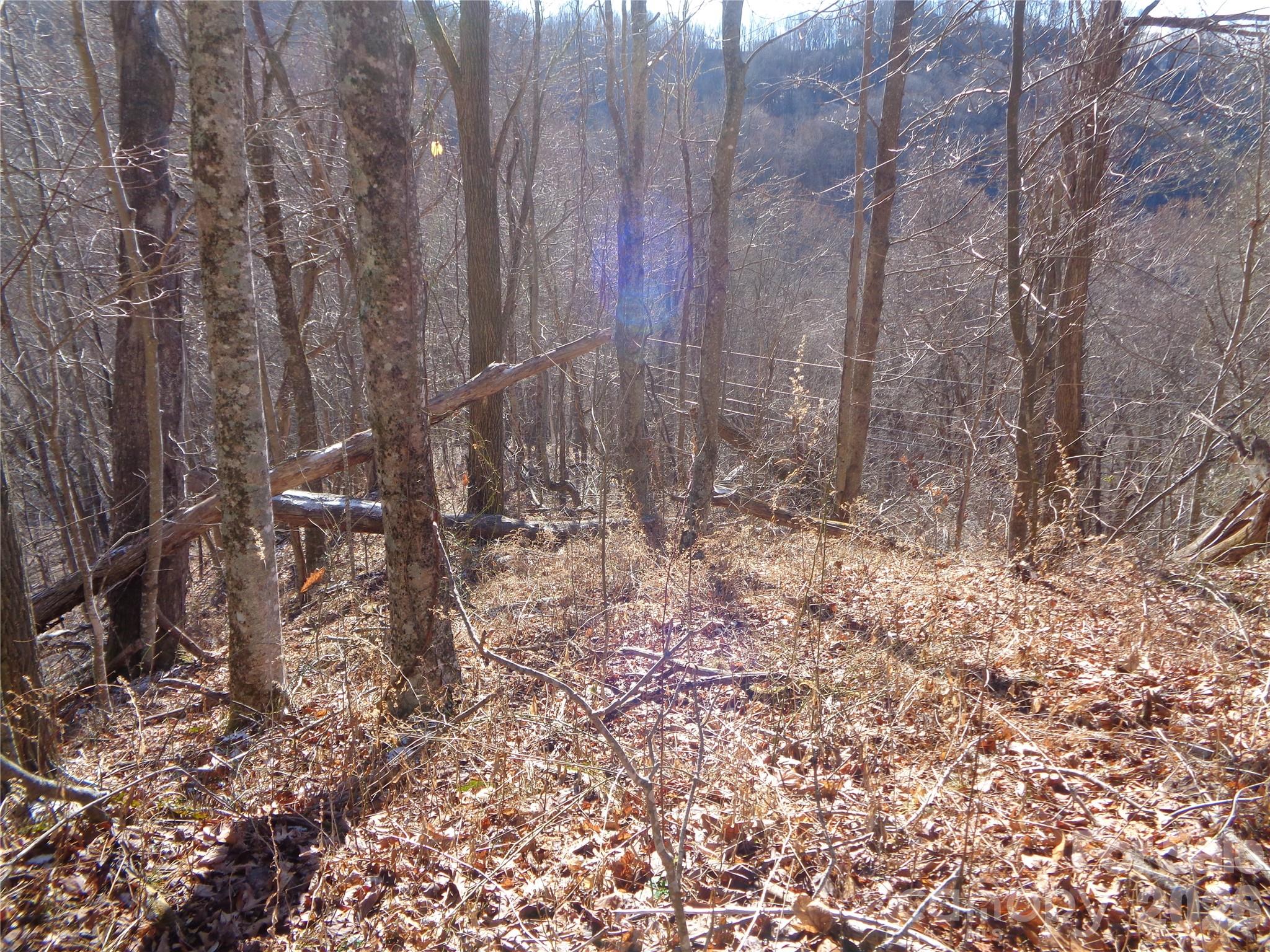 000 Listening Cove 42 Property Photo 11