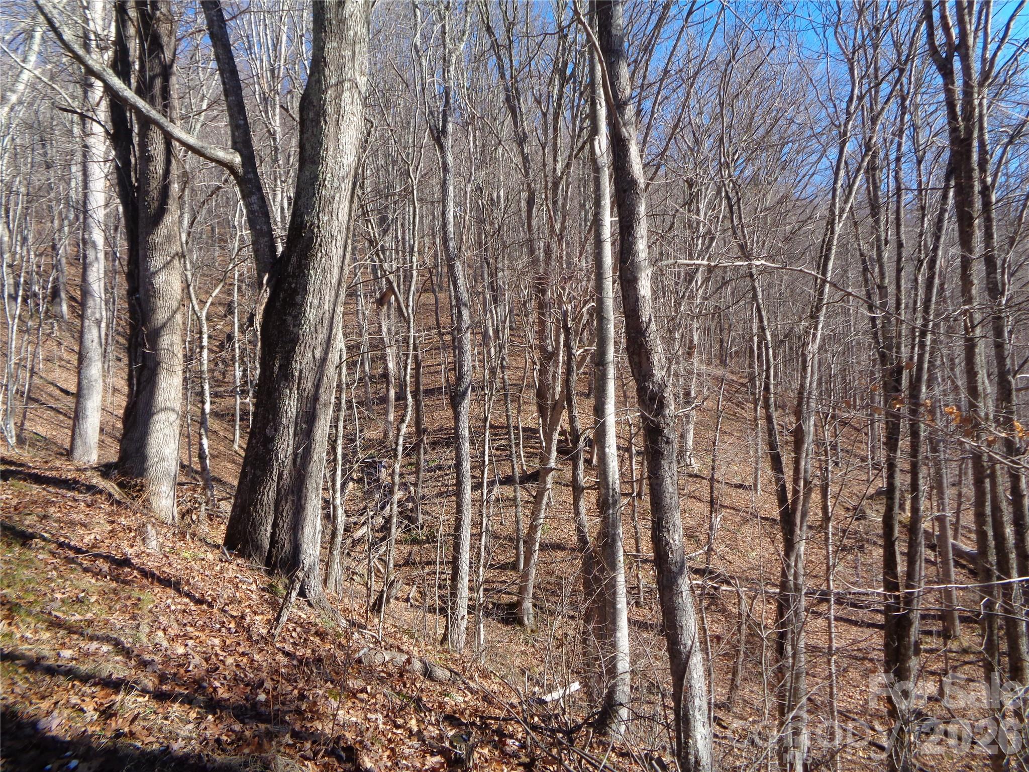 000 Listening Cove 42 Property Photo 13
