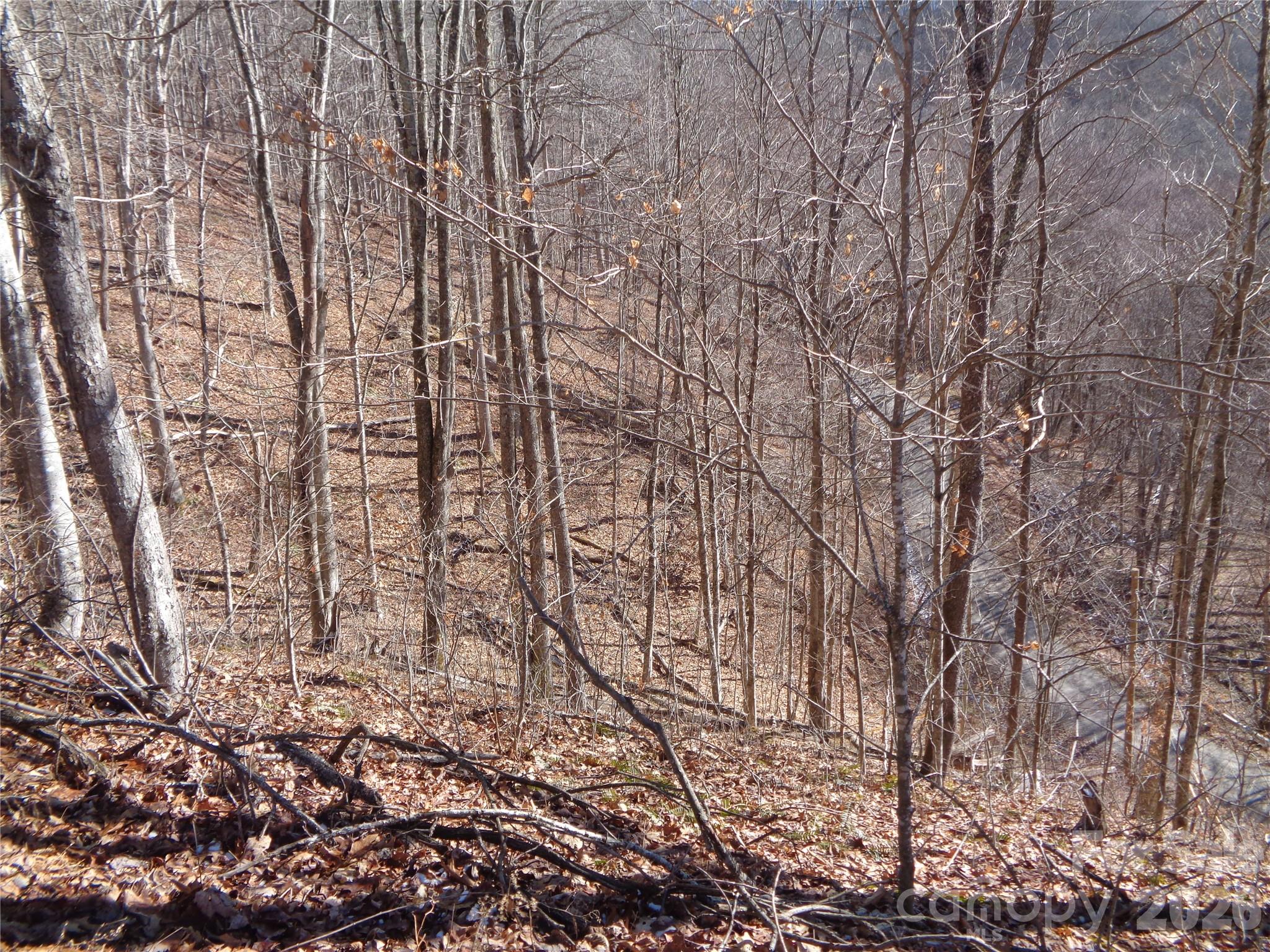 000 Listening Cove 42 Property Photo 14