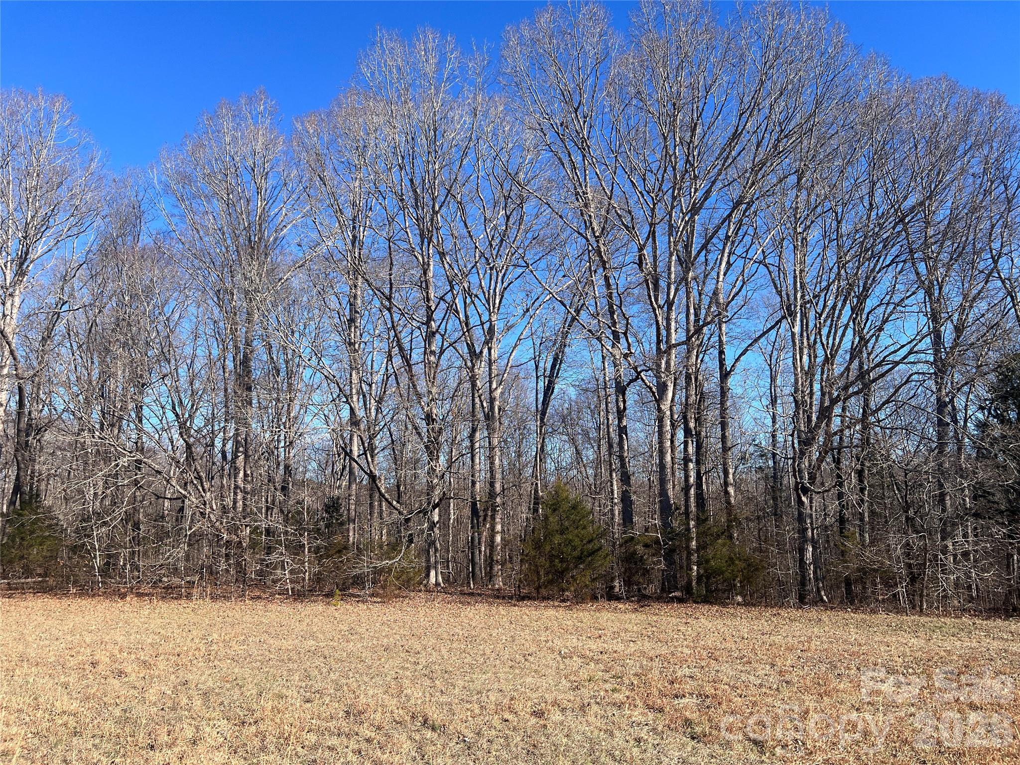 996 Split Trail Road Property Photo 3