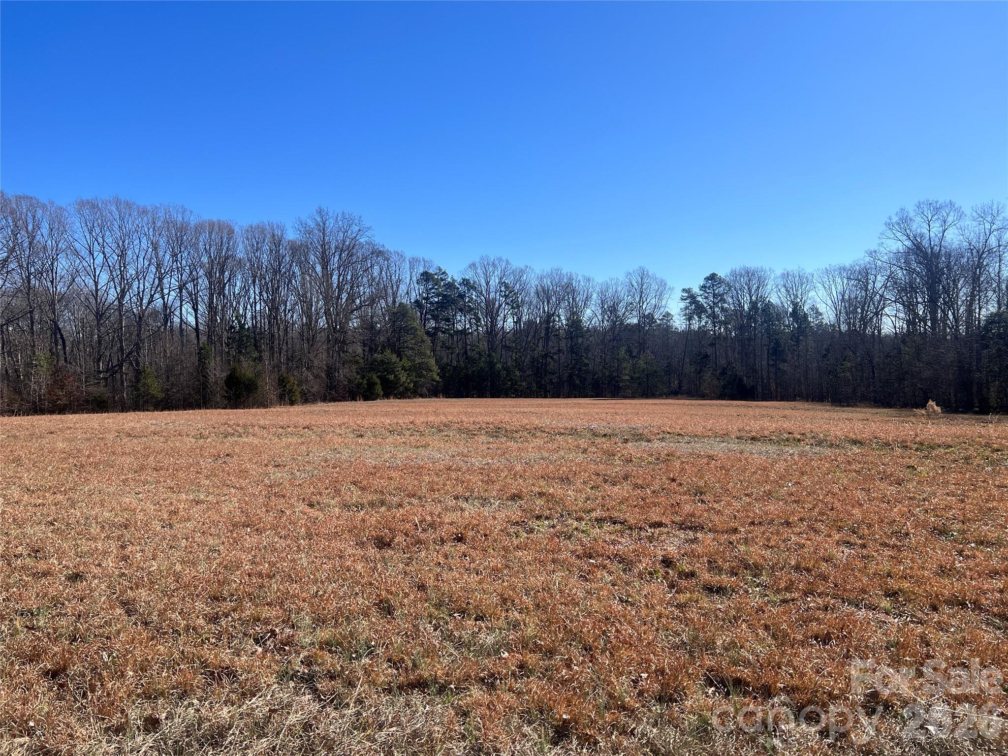 996 Split Trail Road Property Photo 9