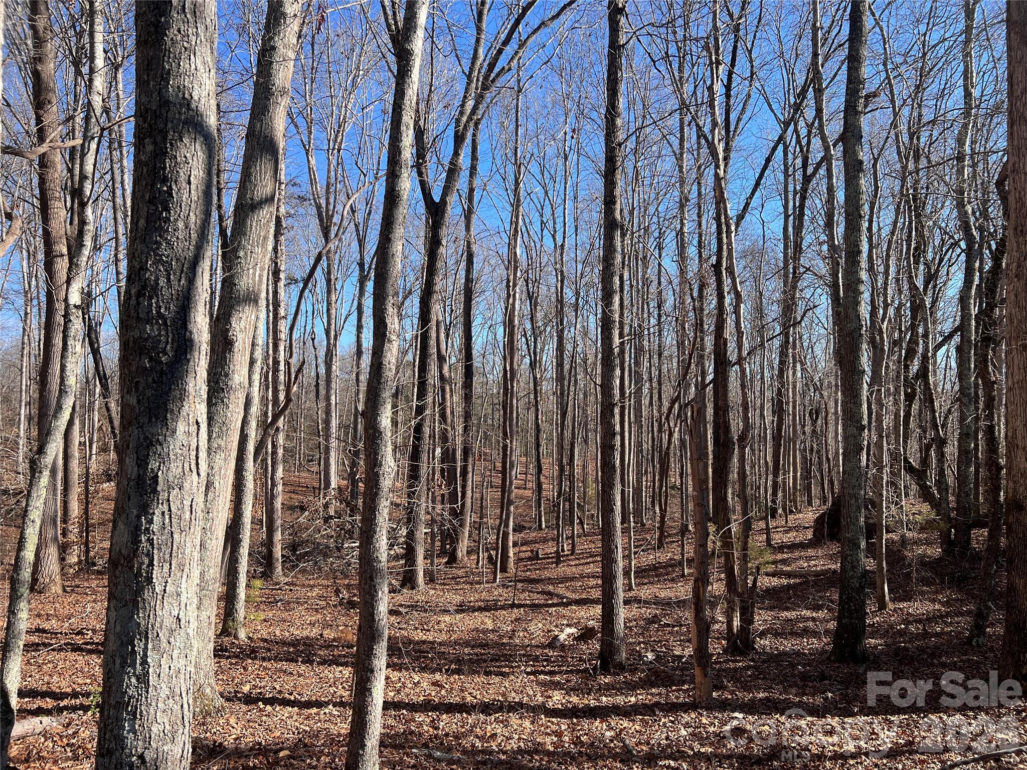 996 Split Trail Road Property Photo 14