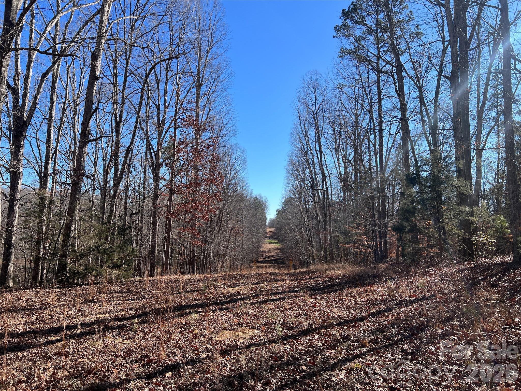 996 Split Trail Road Property Photo 17