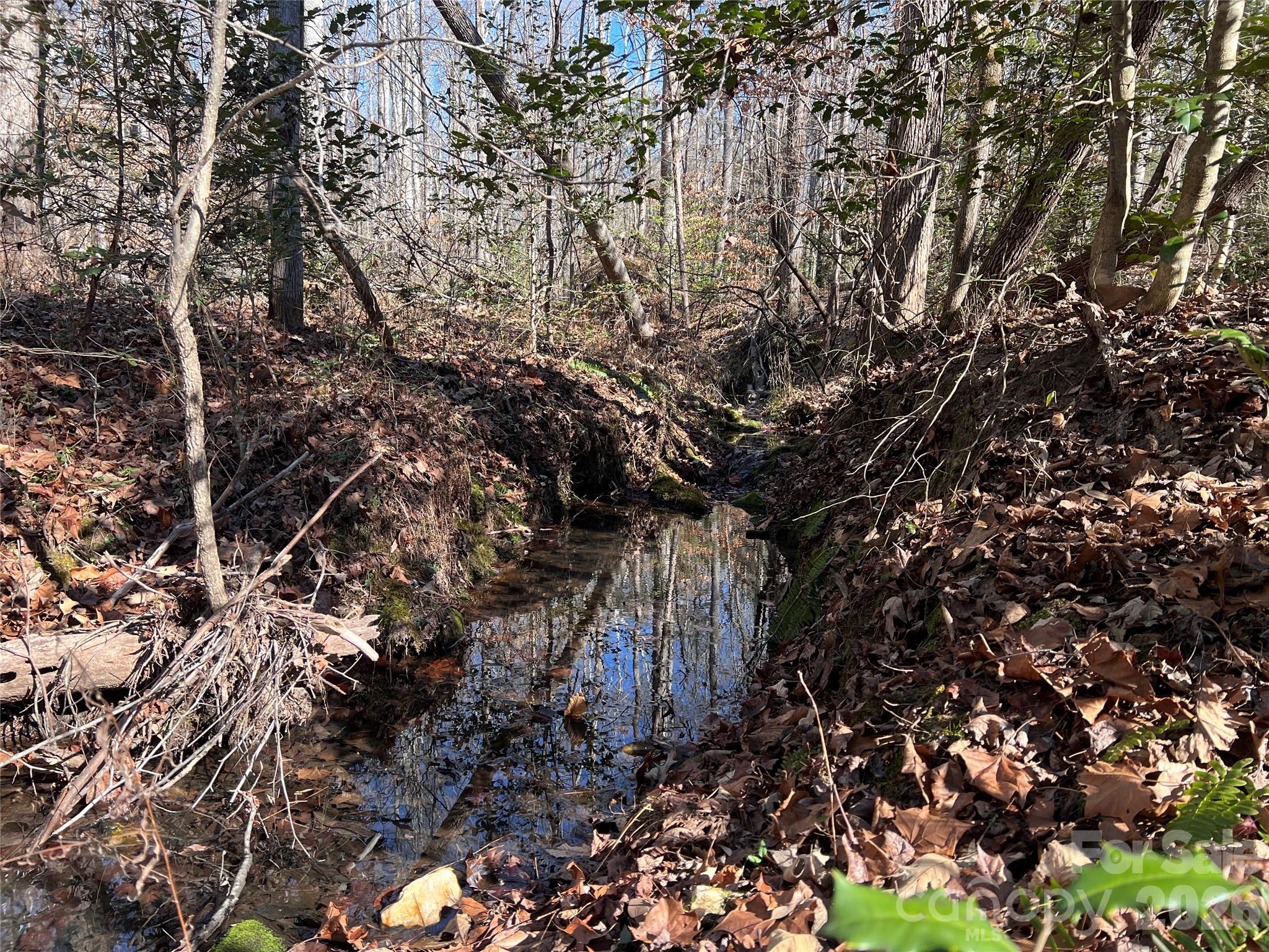 996 Split Trail Road Property Photo 19