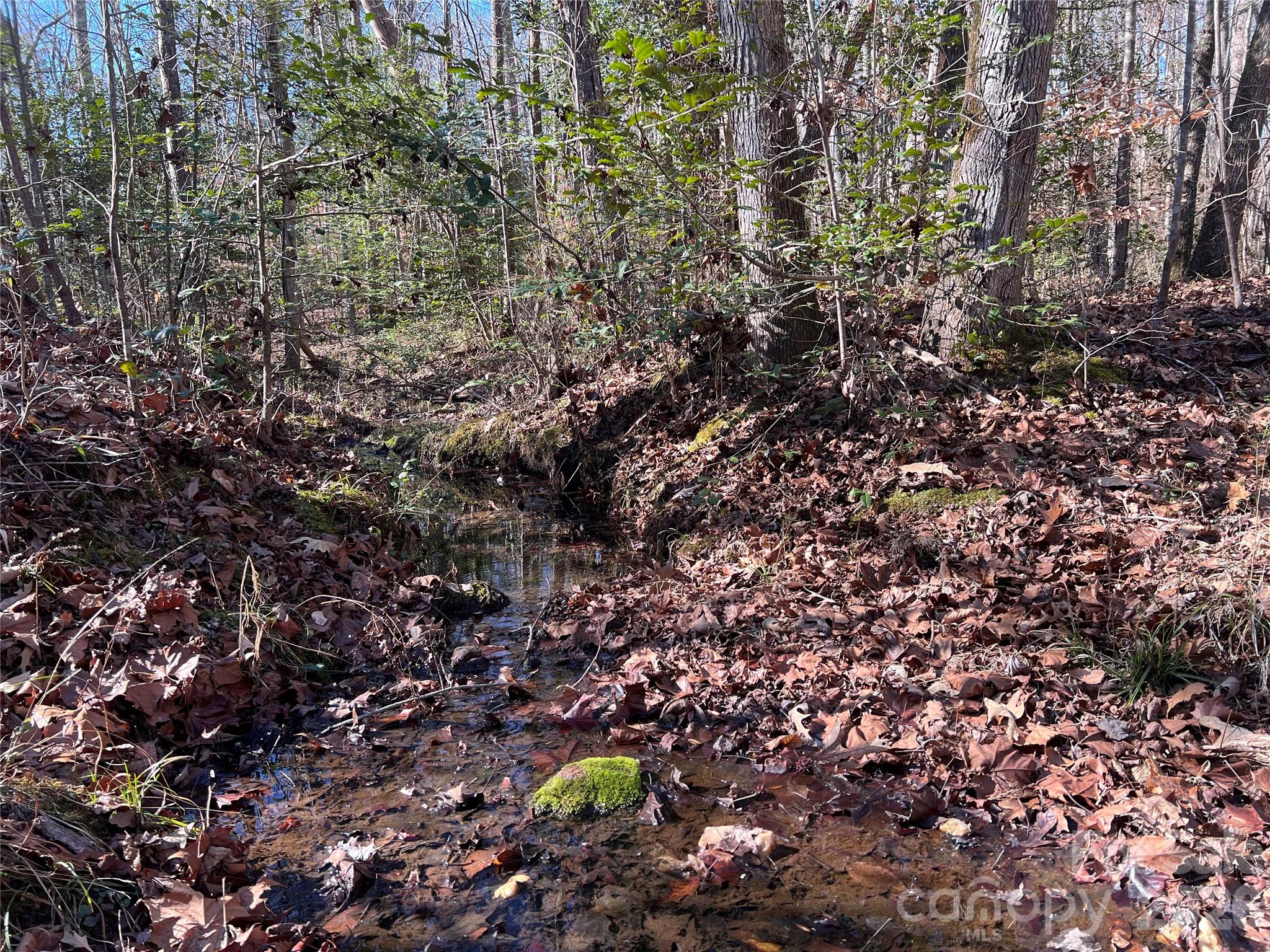 996 Split Trail Road Property Photo 20