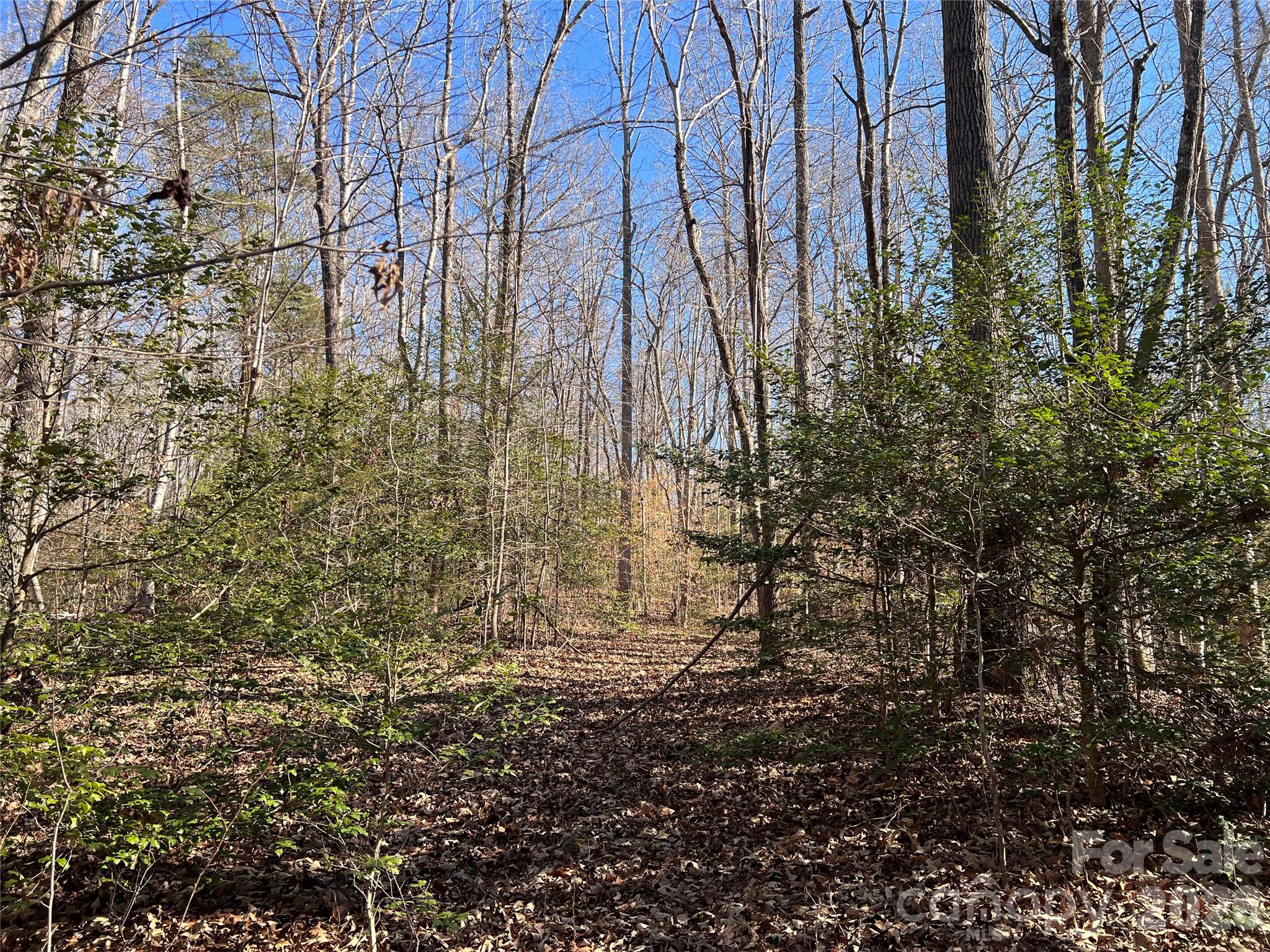 996 Split Trail Road Property Photo 21