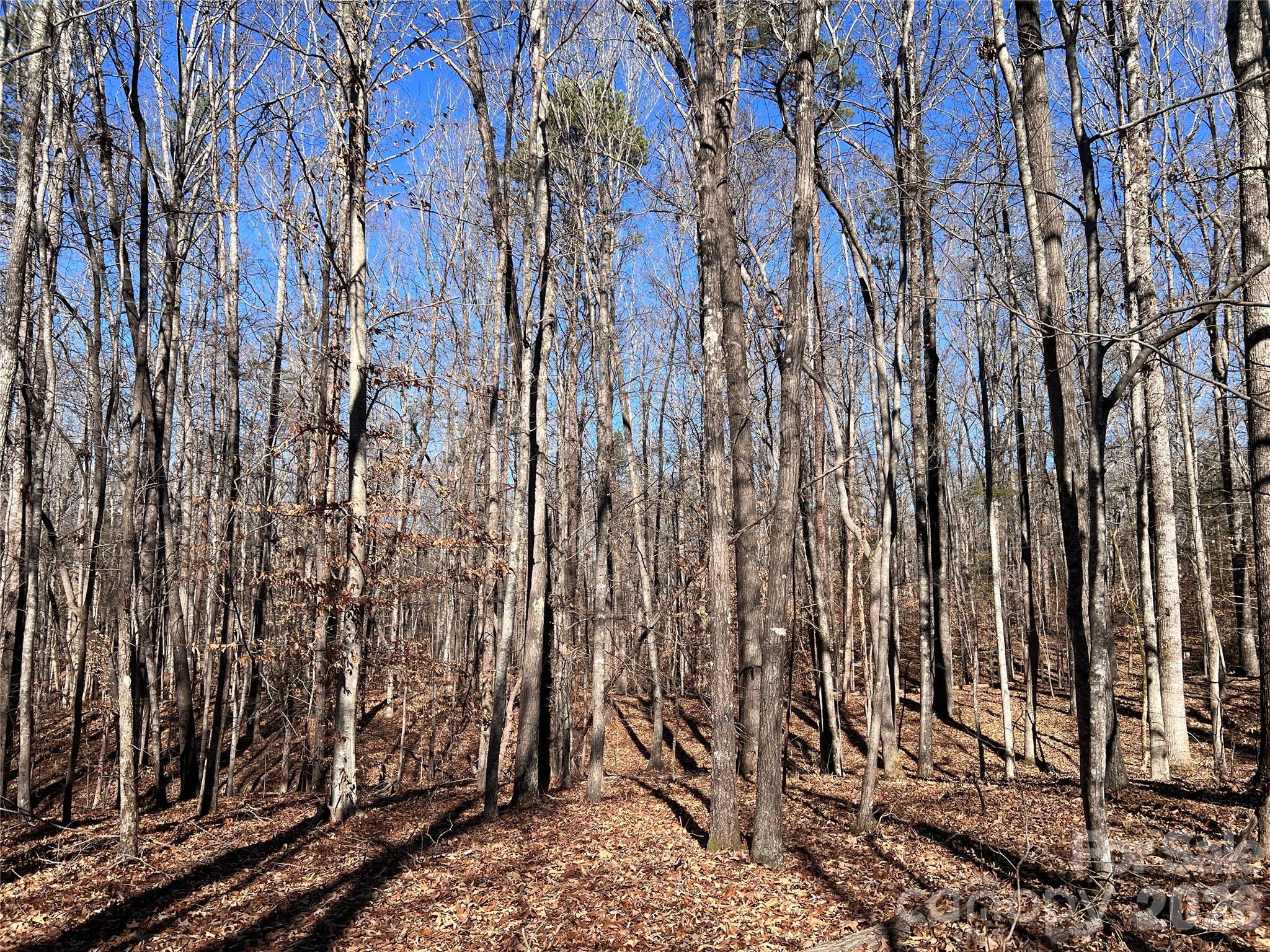 996 Split Trail Road Property Photo 22