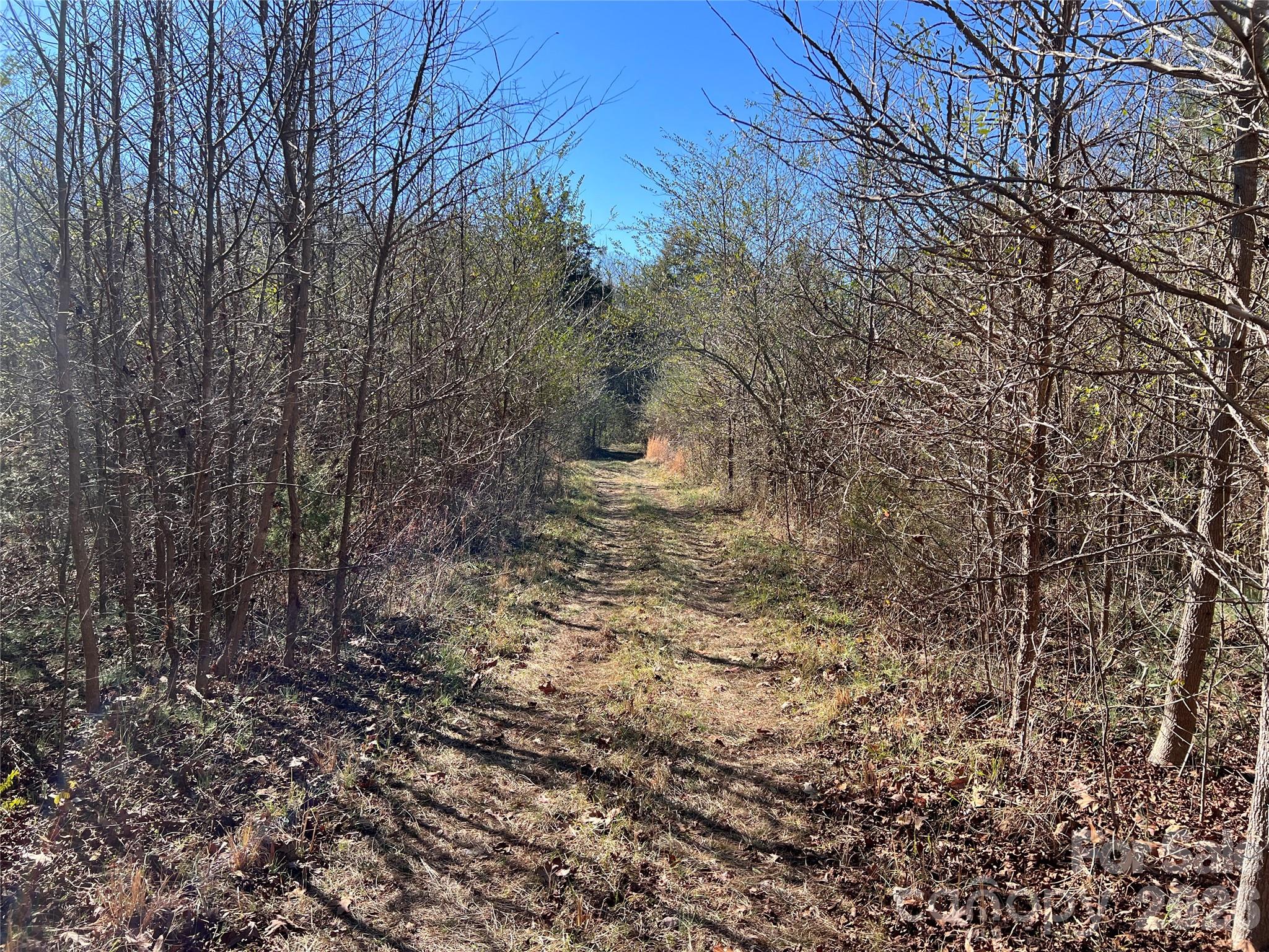 996 Split Trail Road Property Photo 34