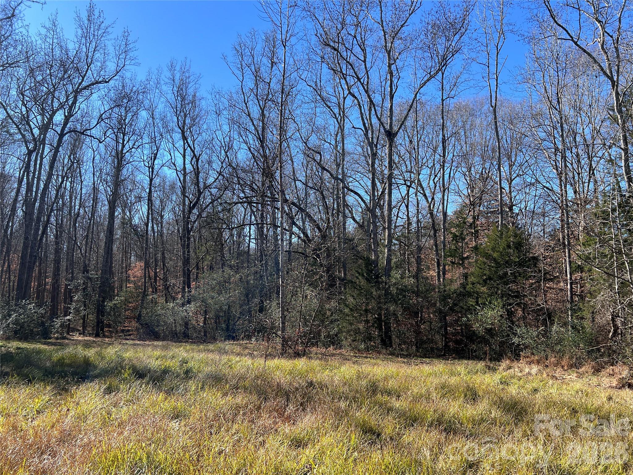 996 Split Trail Road Property Photo 36