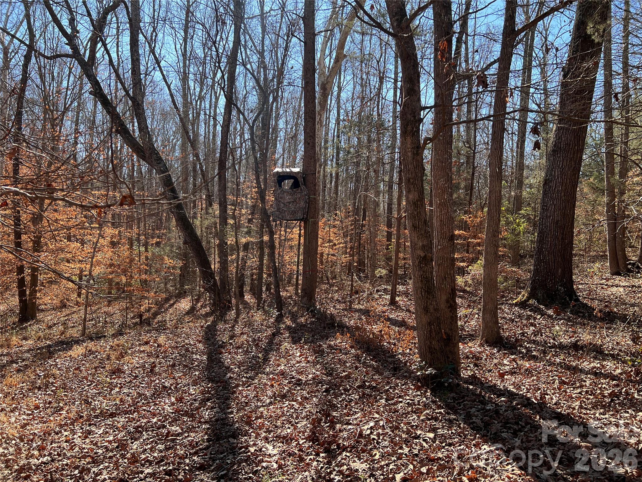 996 Split Trail Road Property Photo 39
