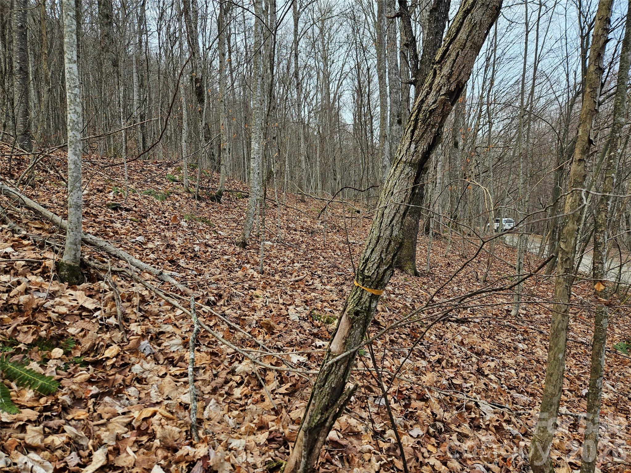 000 Slippery Rock Lane Property Photo 3