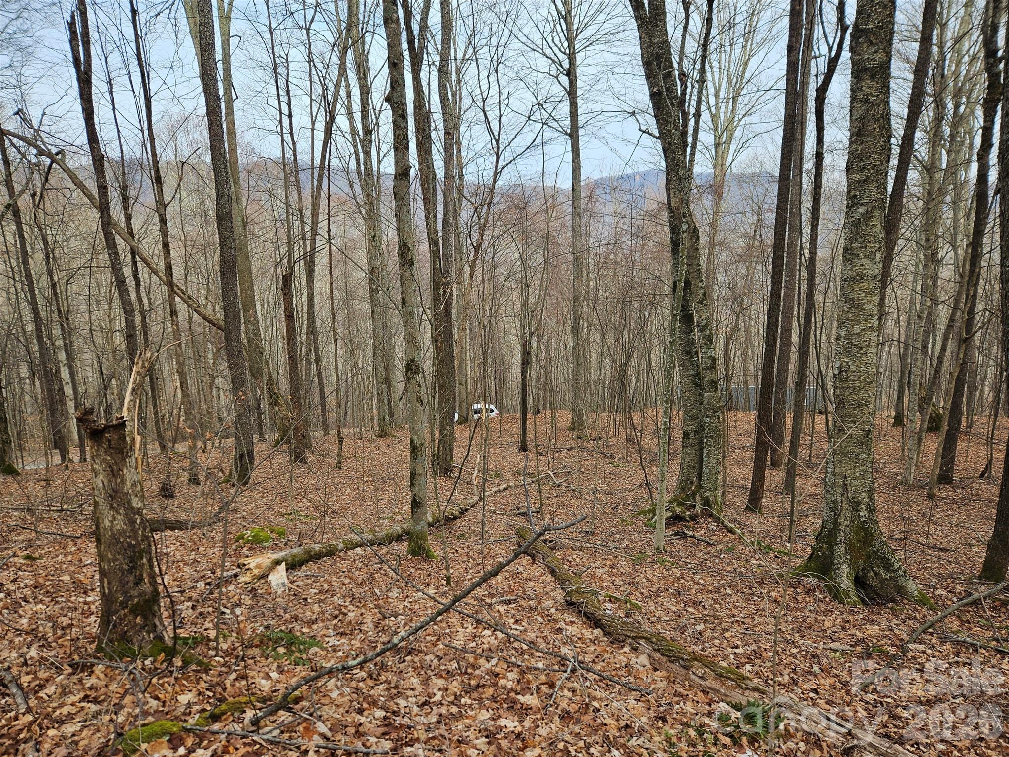 000 Slippery Rock Lane Property Photo 5