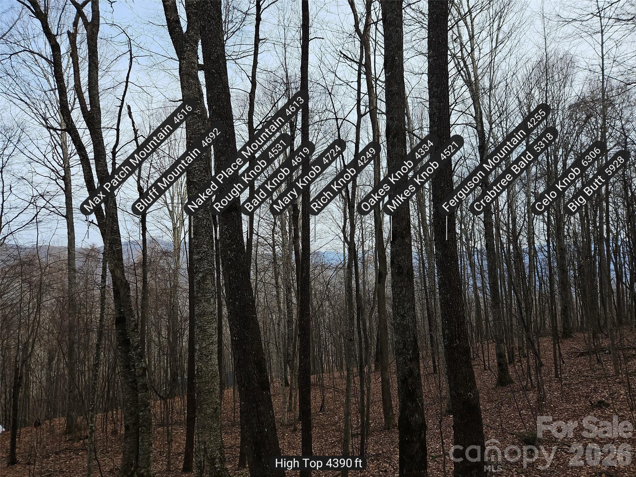000 Slippery Rock Lane Property Photo 6