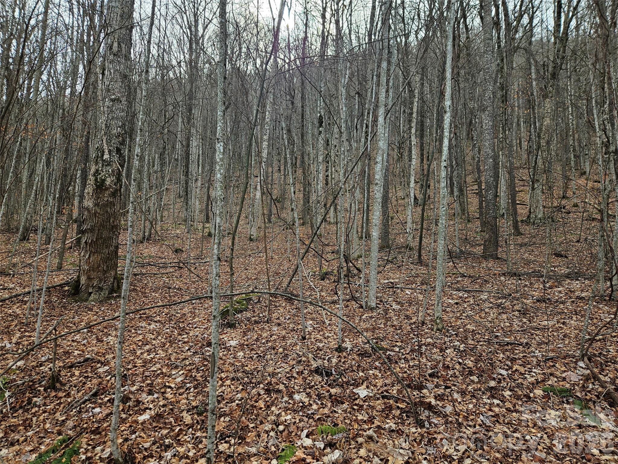 000 Slippery Rock Lane Property Photo 8