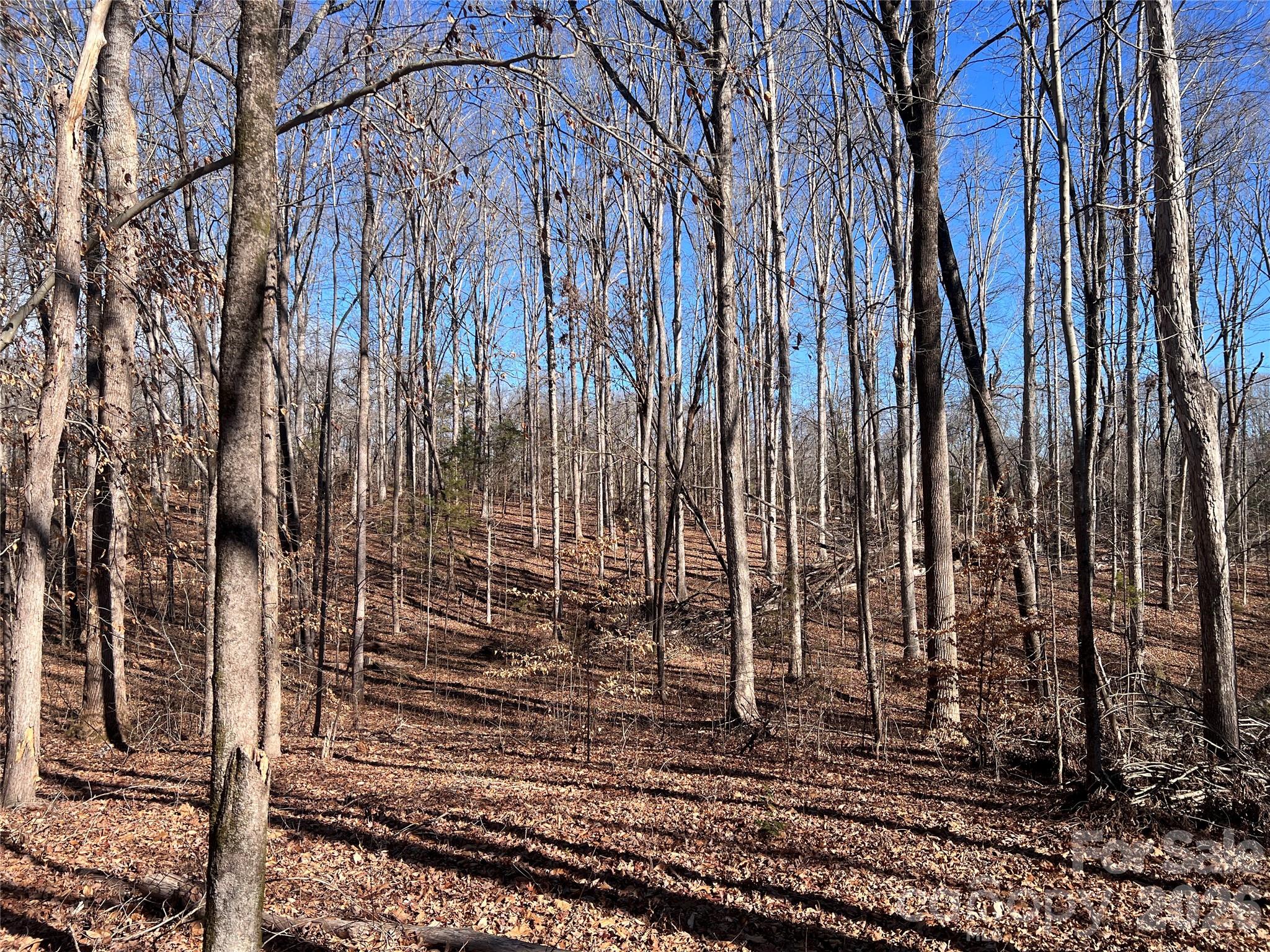 996 Split Trail Road Property Photo 18