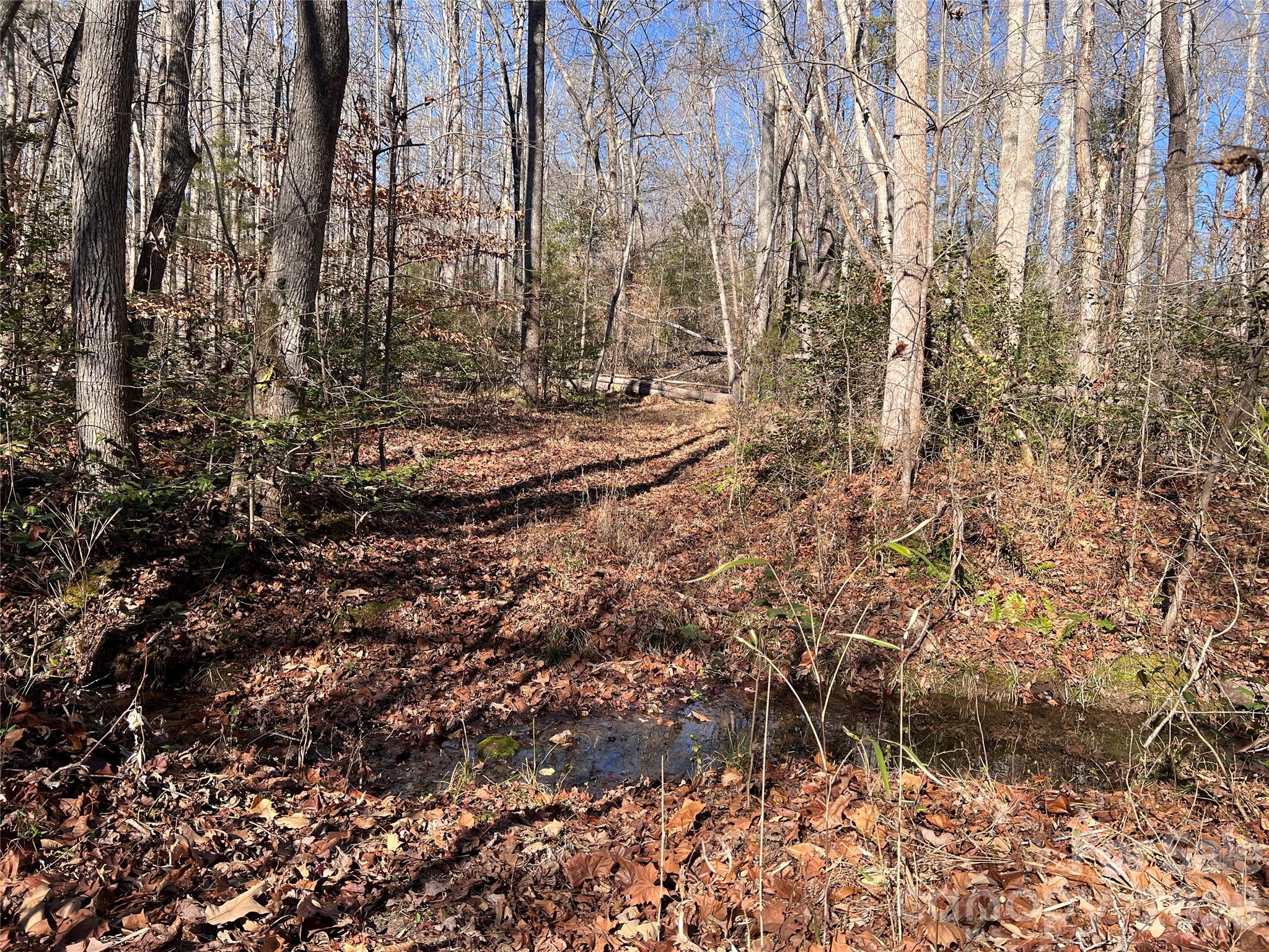 996 Split Trail Road Property Photo 24