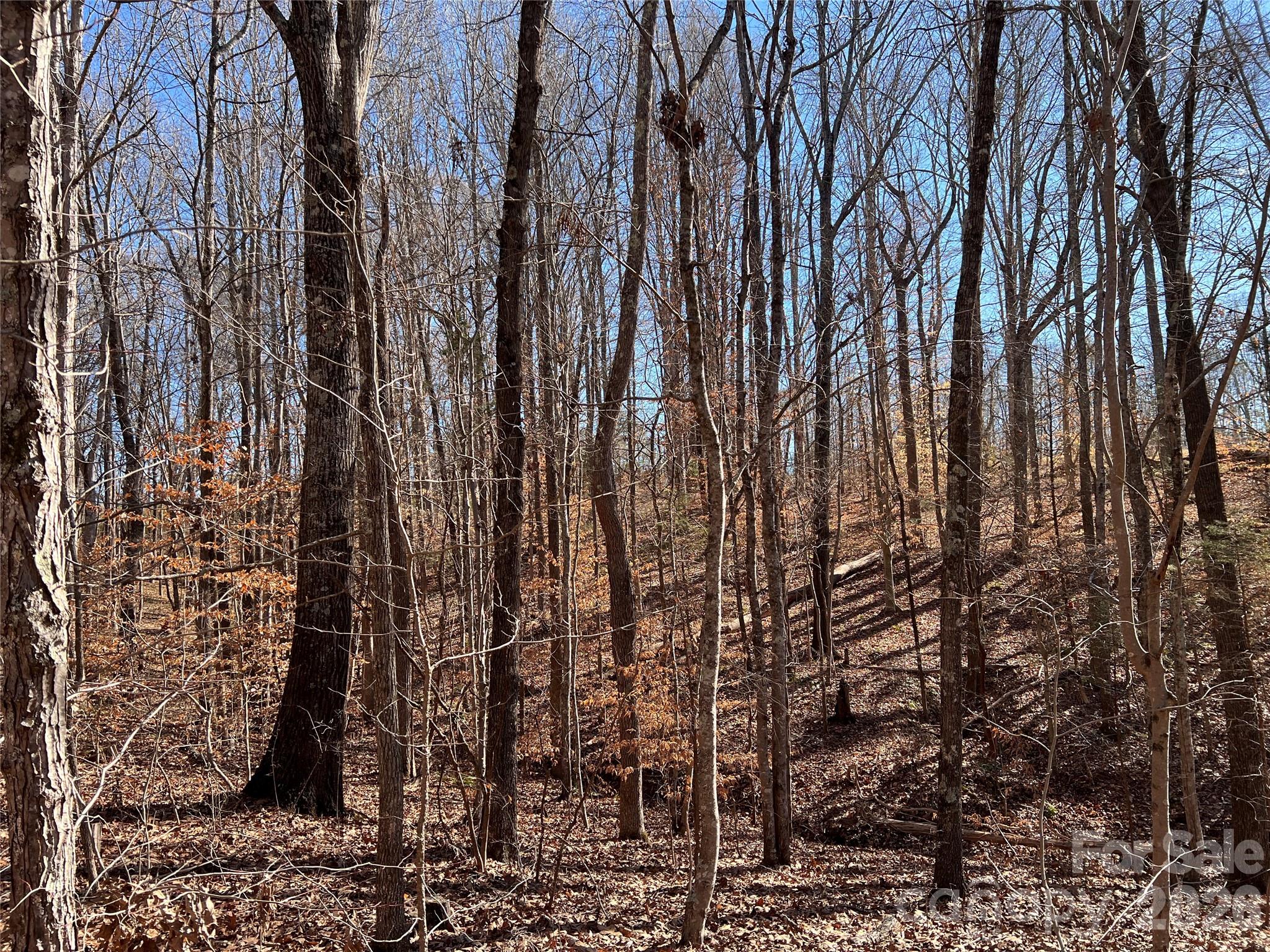996 Split Trail Road Property Photo 27