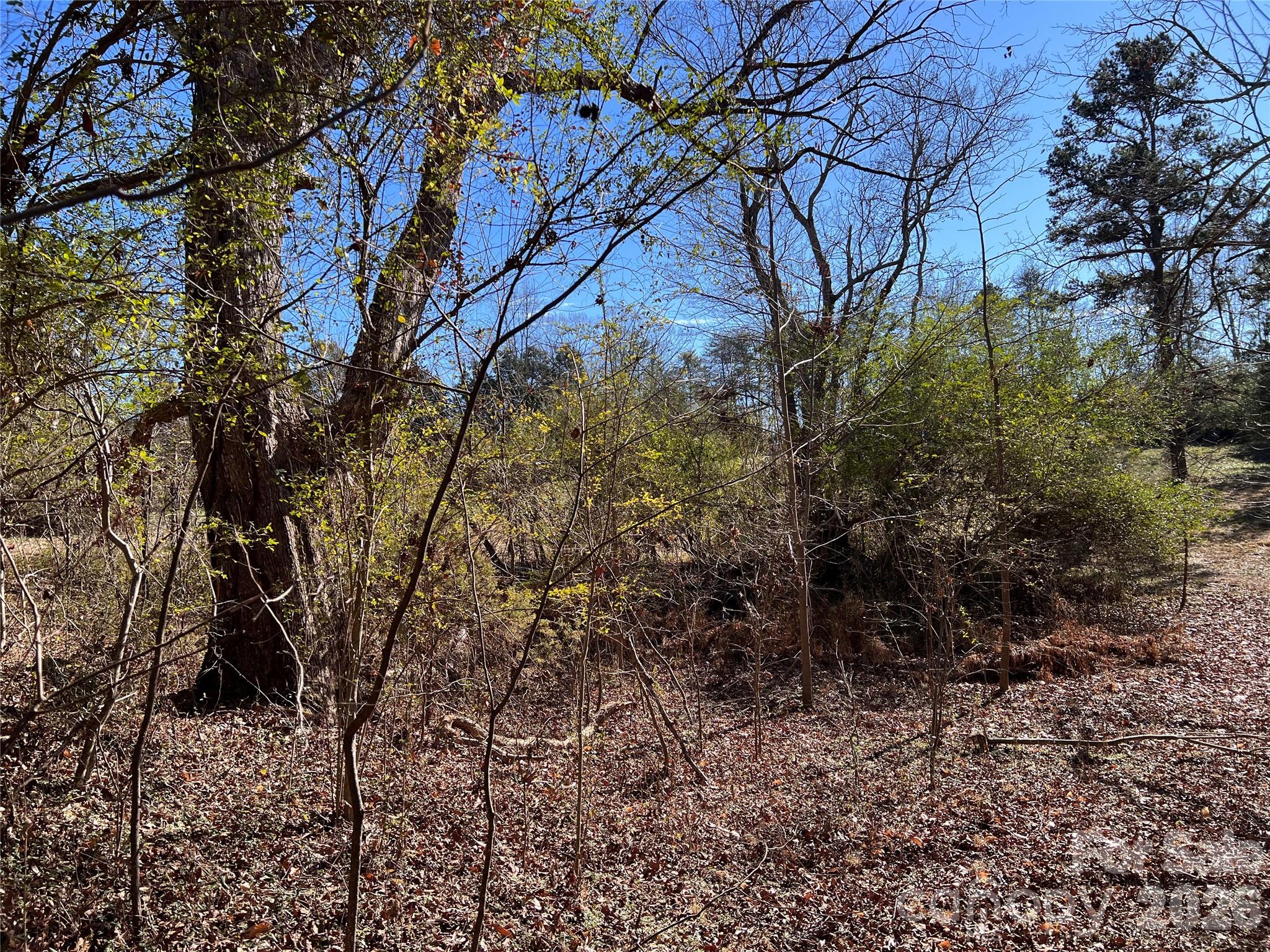 996 Split Trail Road Property Photo 28