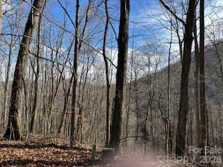 19 Blairstone Lane Property Photo 6