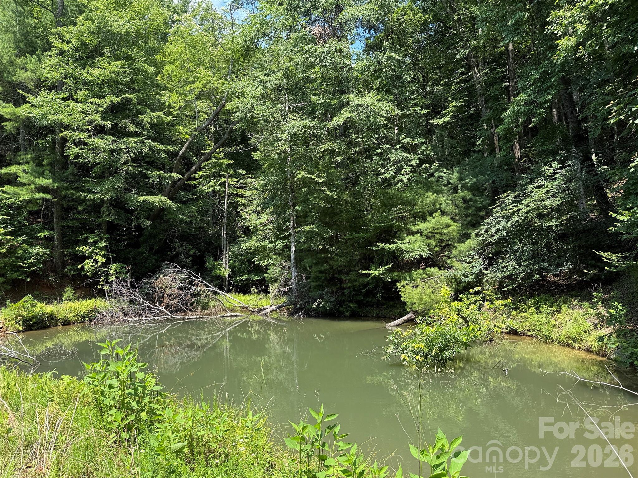 Tbd Staghorn Road Property Photo 2