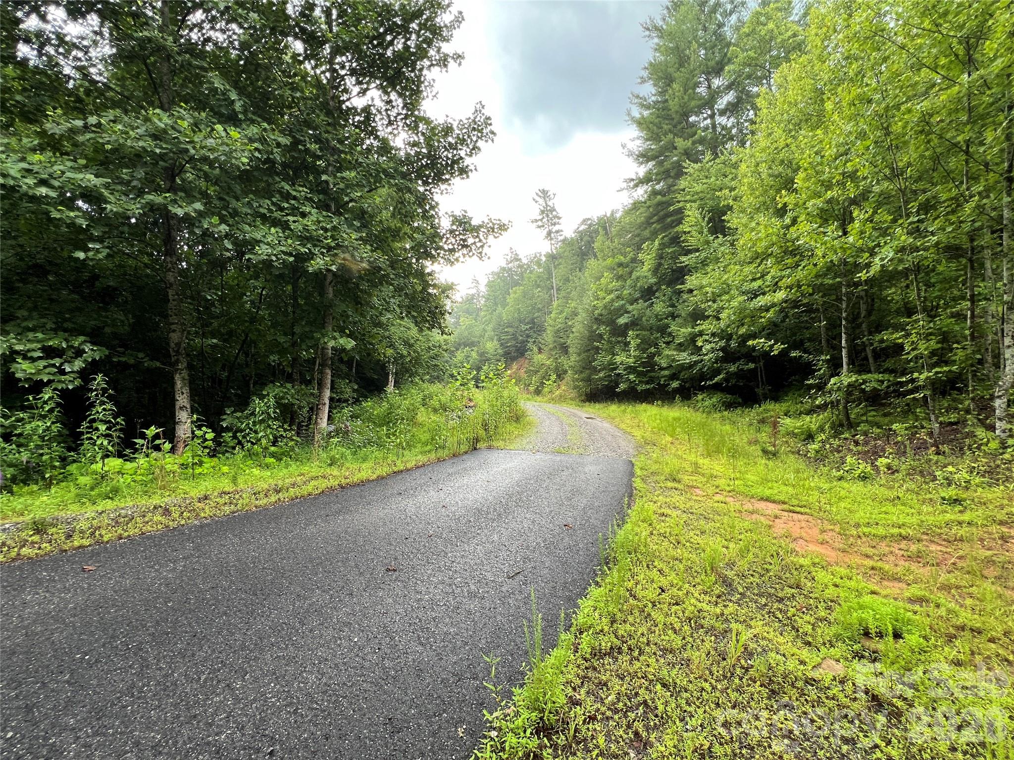 Tbd Staghorn Road Property Photo 4