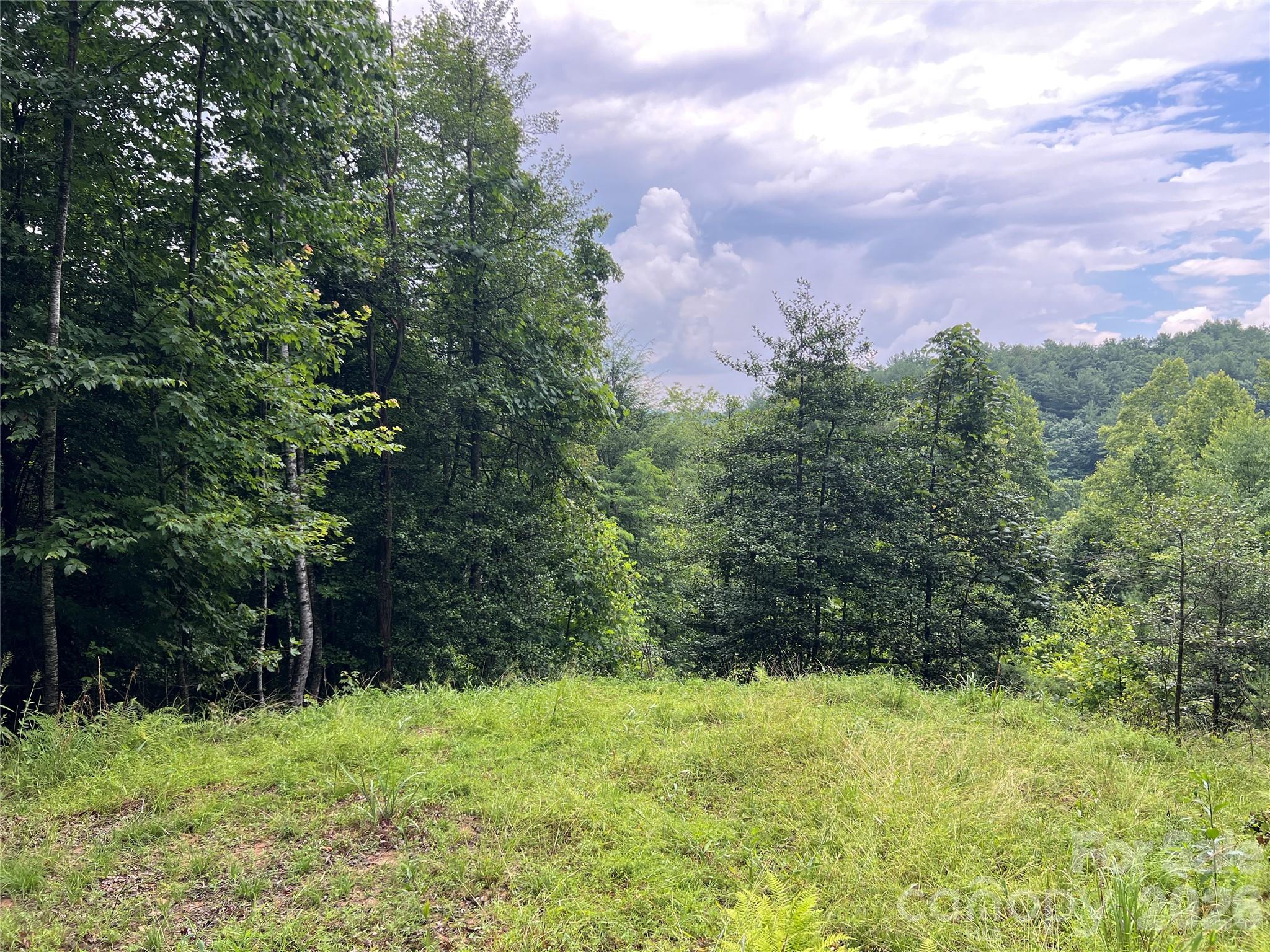 Tbd Staghorn Road Property Photo 6