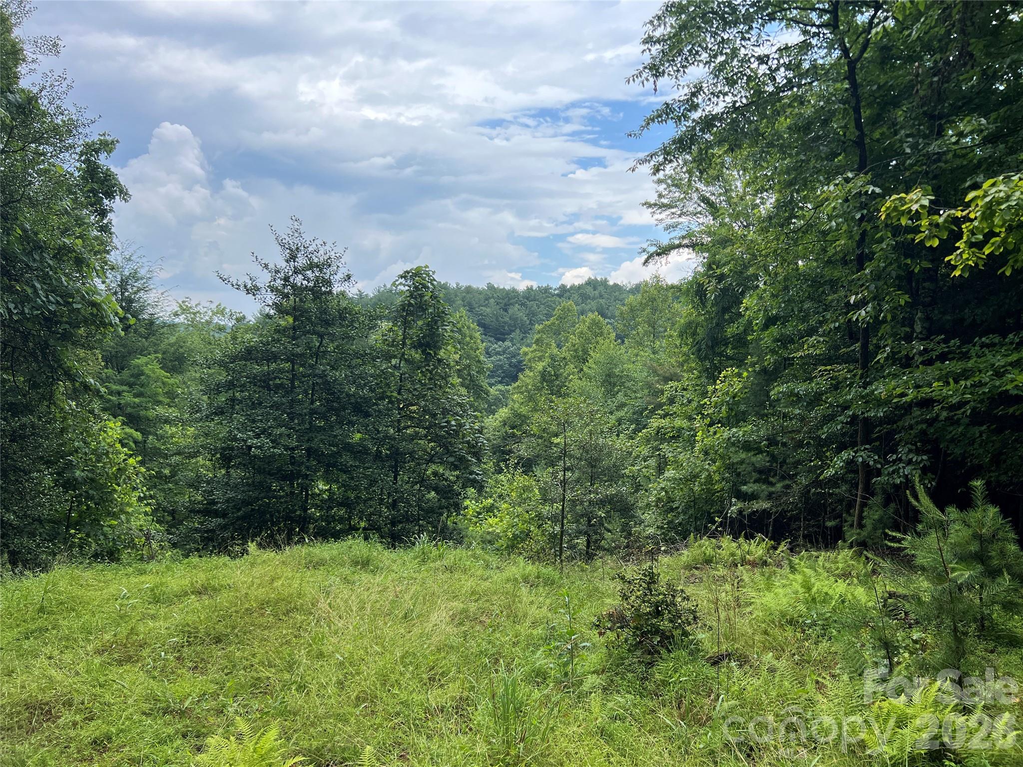 Tbd Staghorn Road Property Photo 7