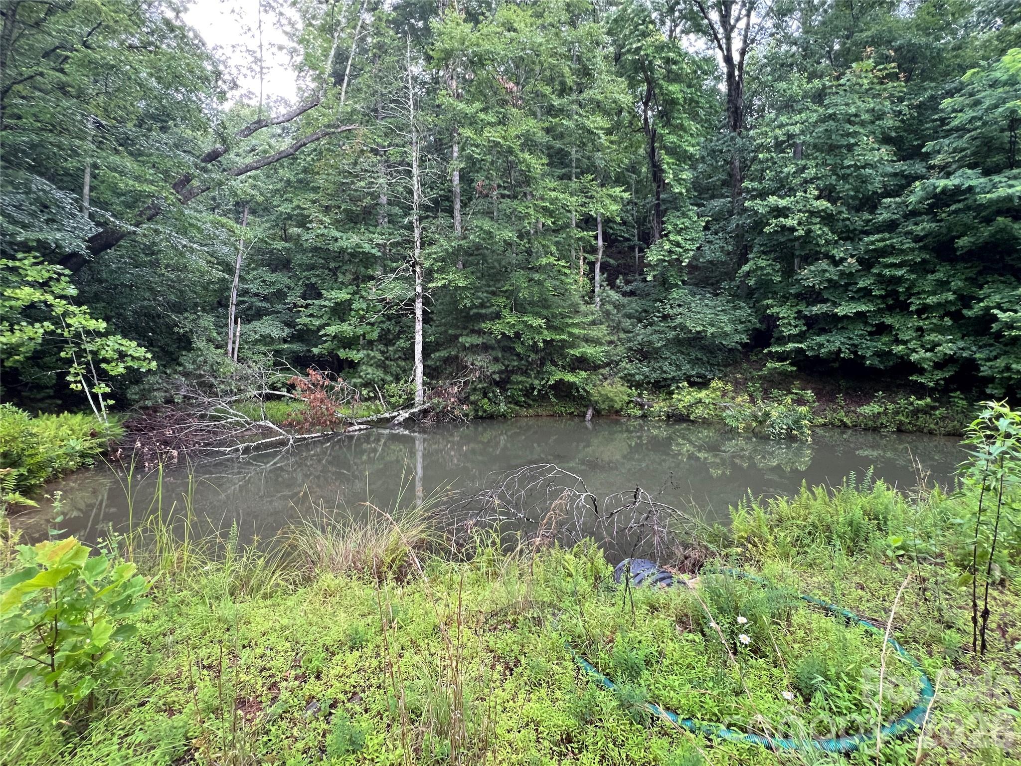 Tbd Staghorn Road Property Photo 8