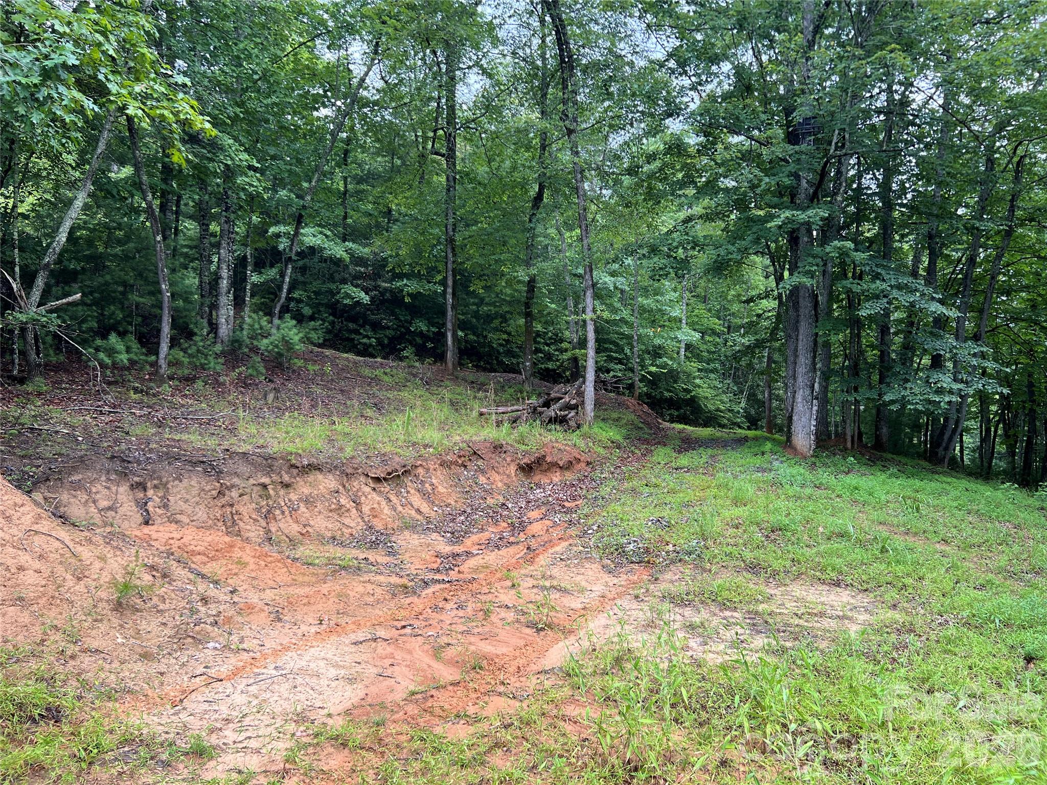 Tbd Staghorn Road Property Photo 9