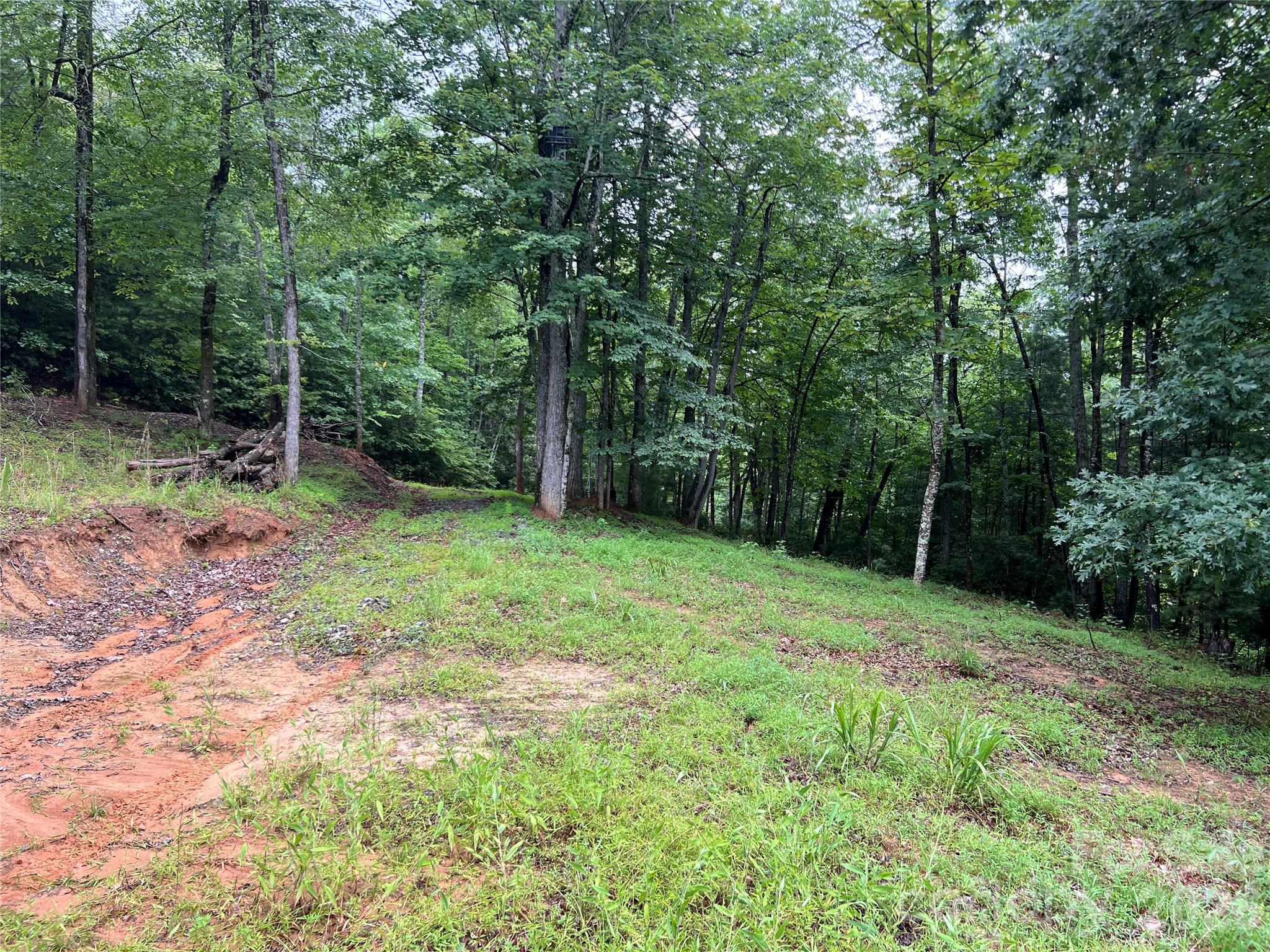 Tbd Staghorn Road Property Photo 10