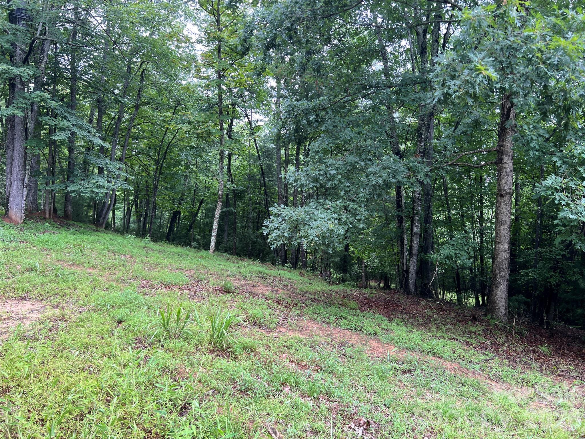 Tbd Staghorn Road Property Photo 11
