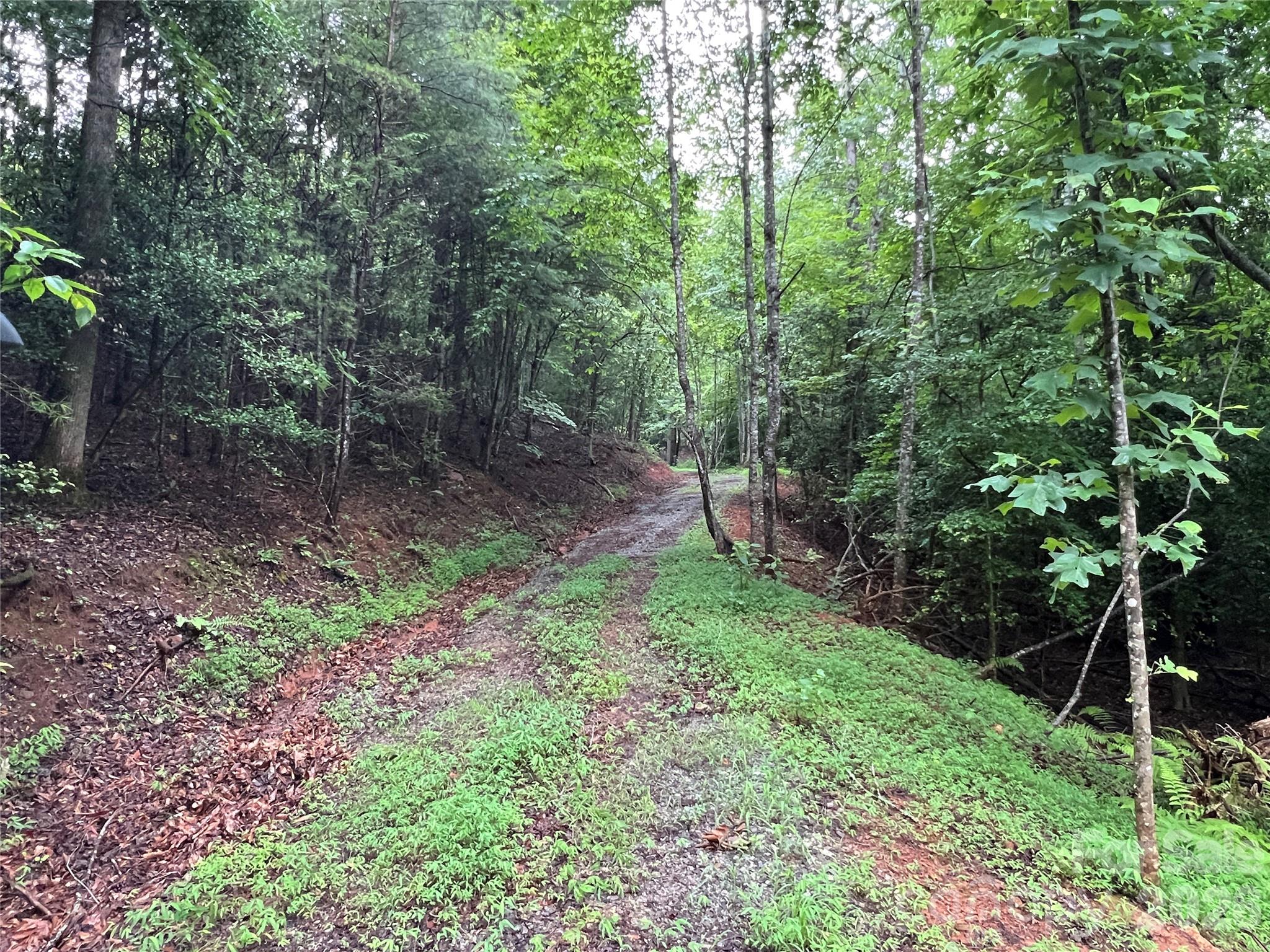Tbd Staghorn Road Property Photo 13